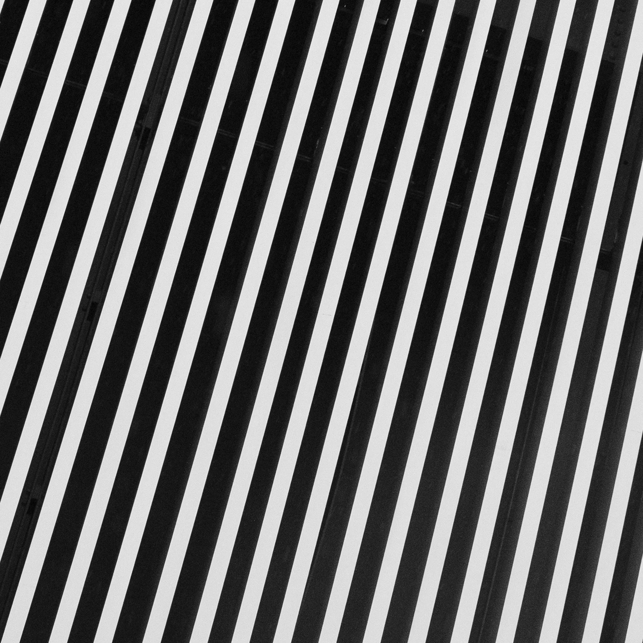 545A2826-2.jpg