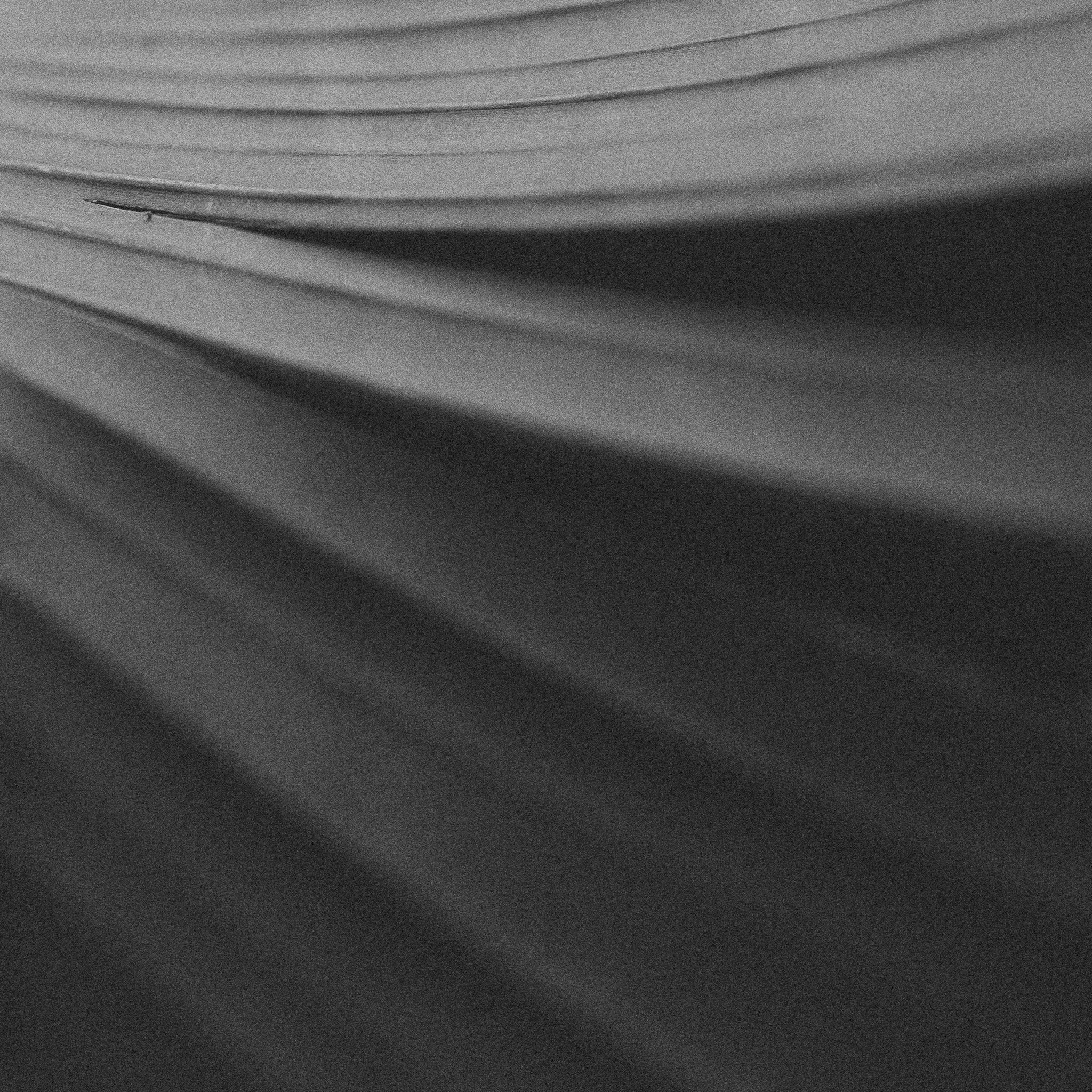 L1000569.jpg