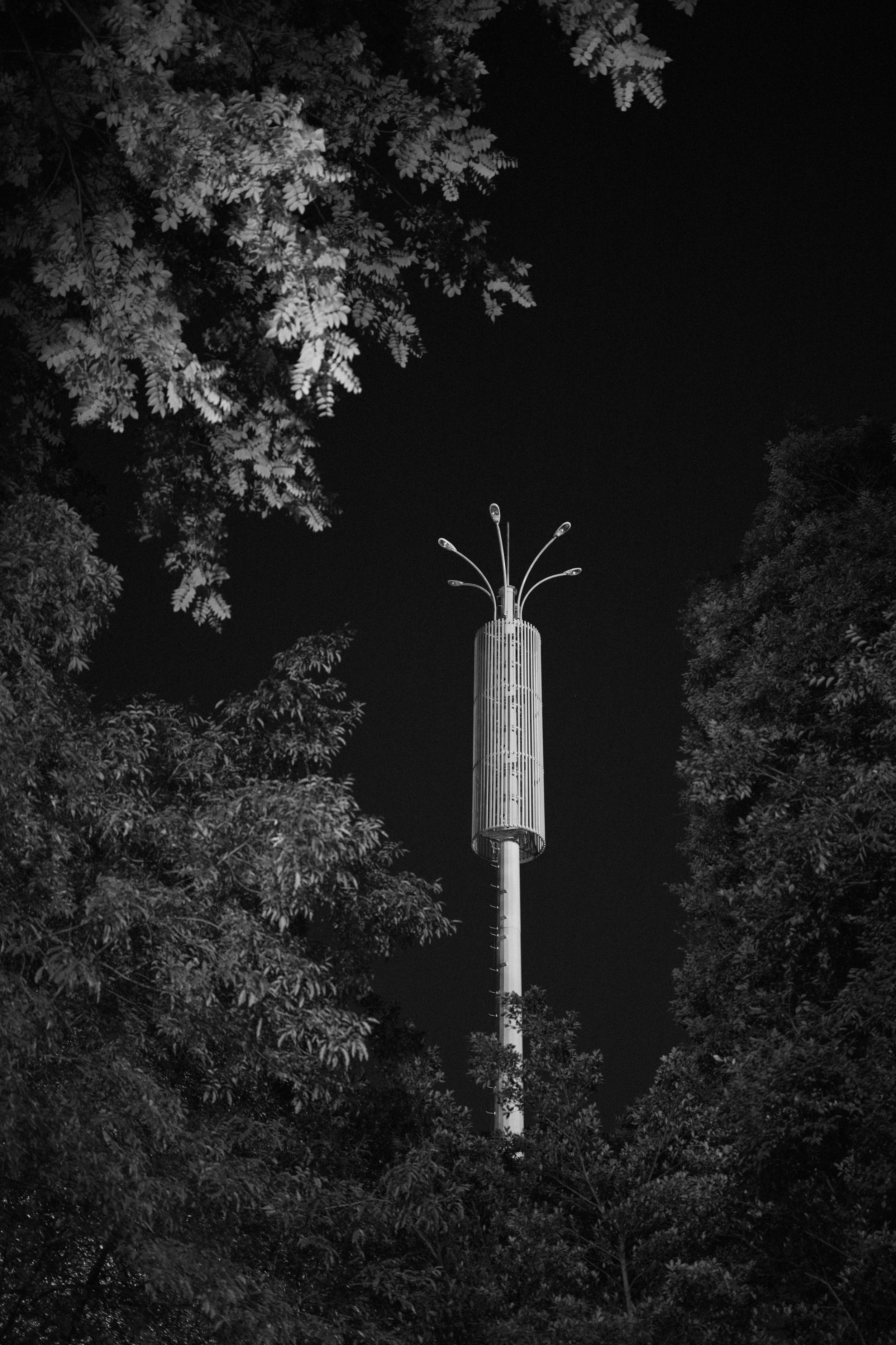 545A1979.jpg