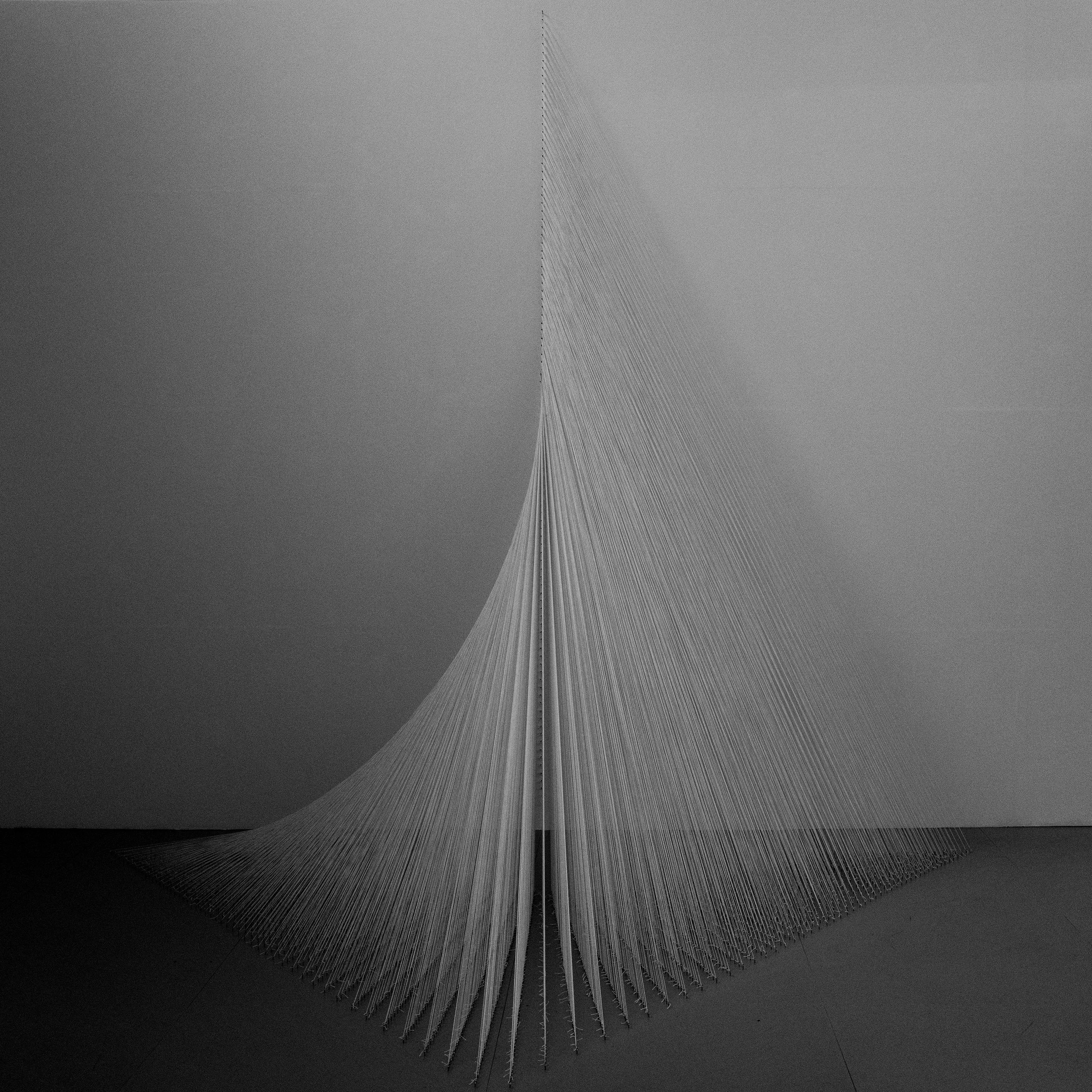 L1010962.jpg