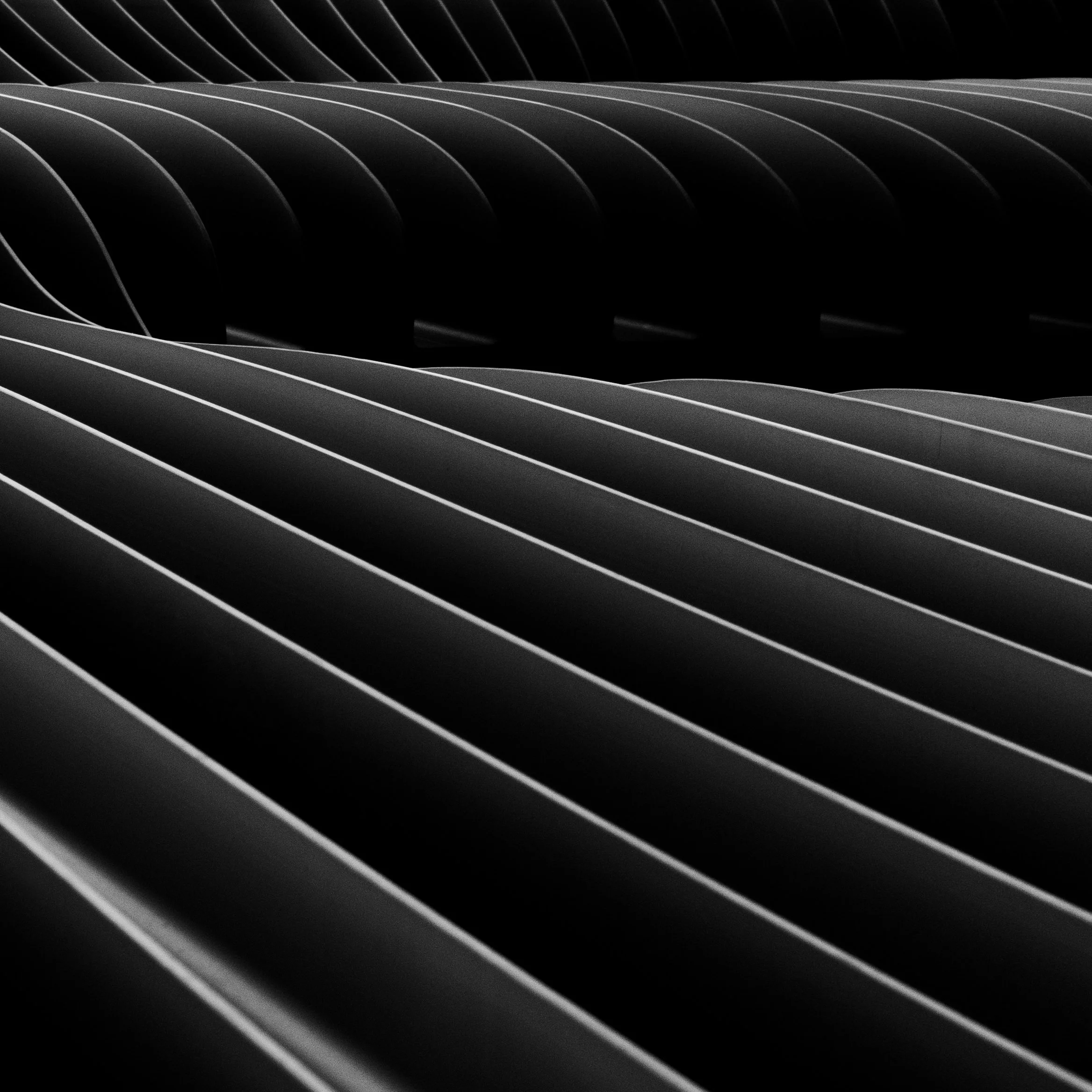 L1010927b.jpg