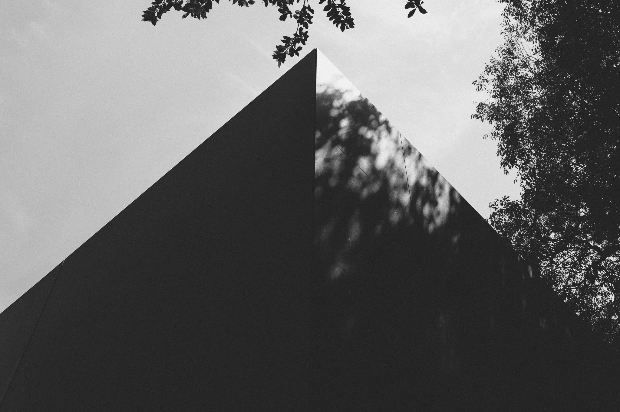 L1011726.jpg