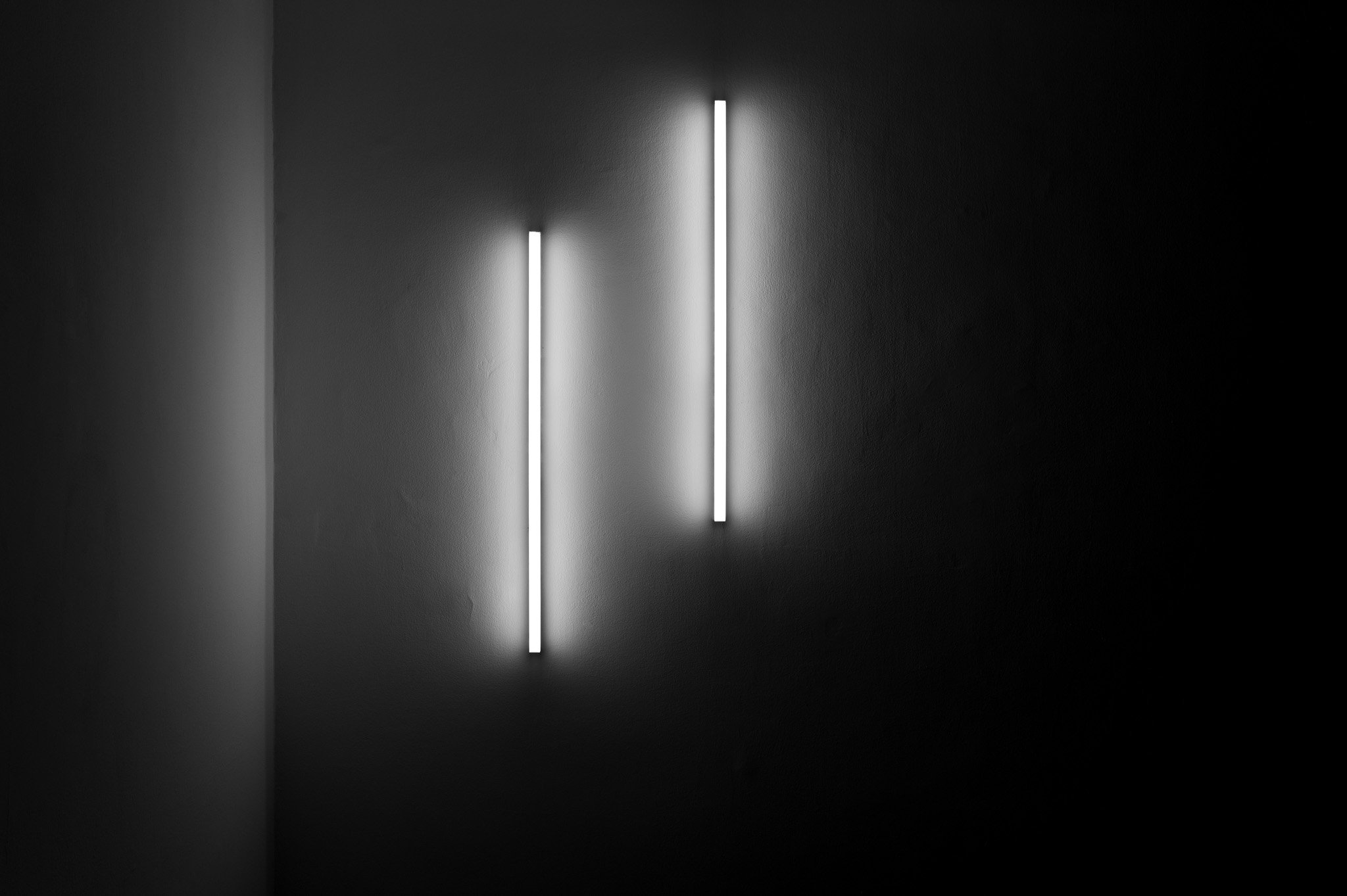 L1000989.jpg