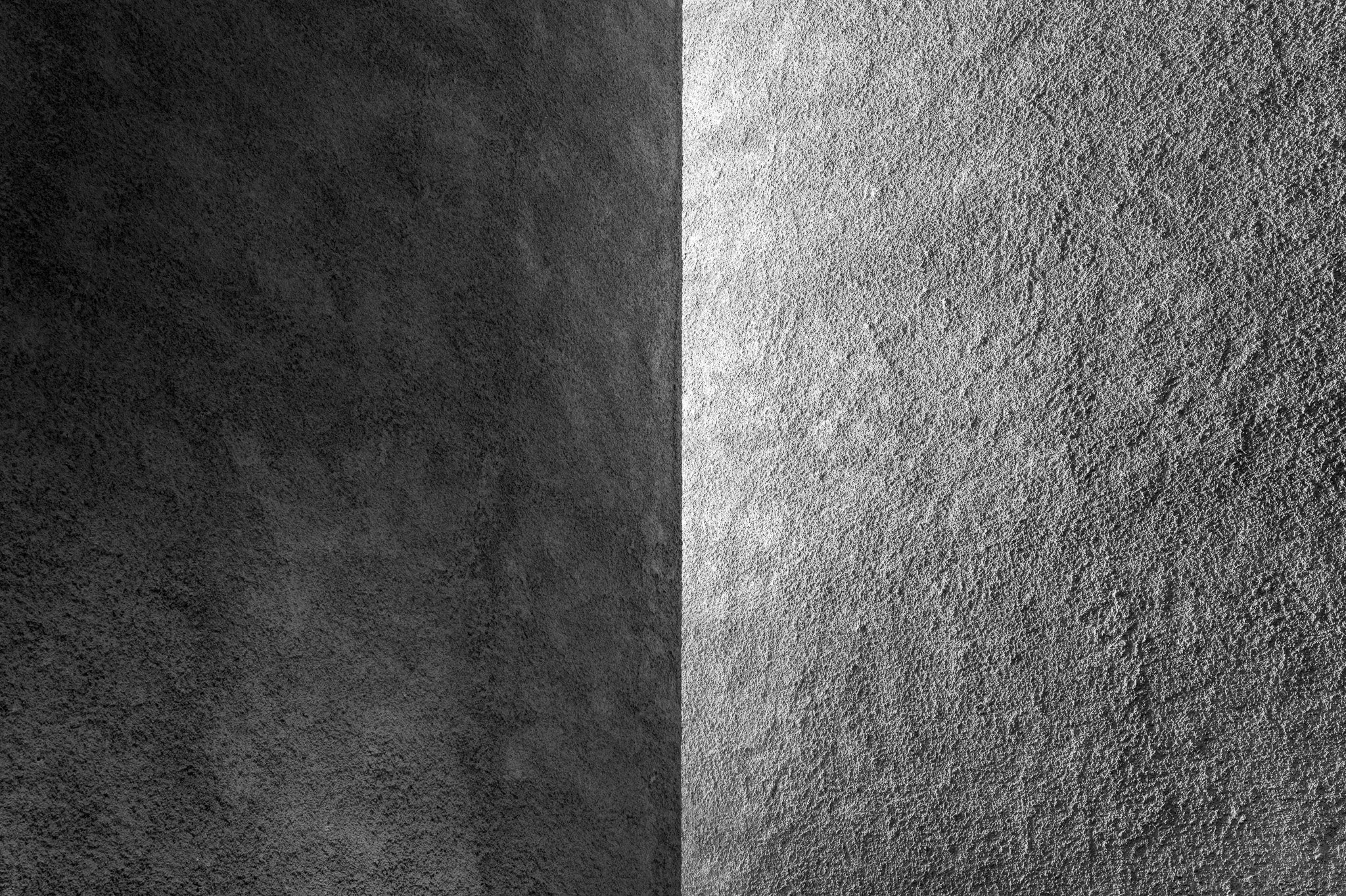 L1010907.jpg