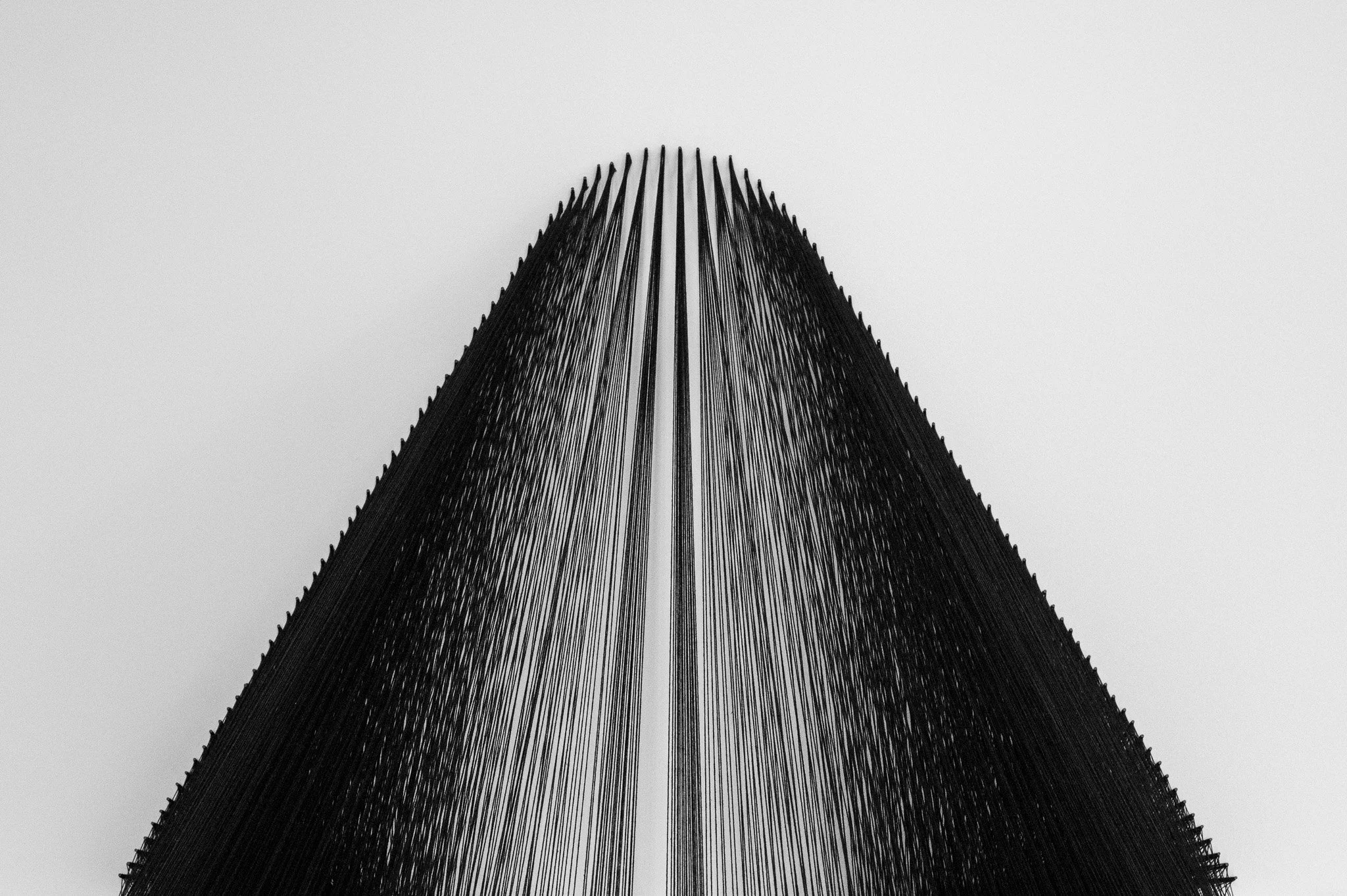 L1010965.jpg