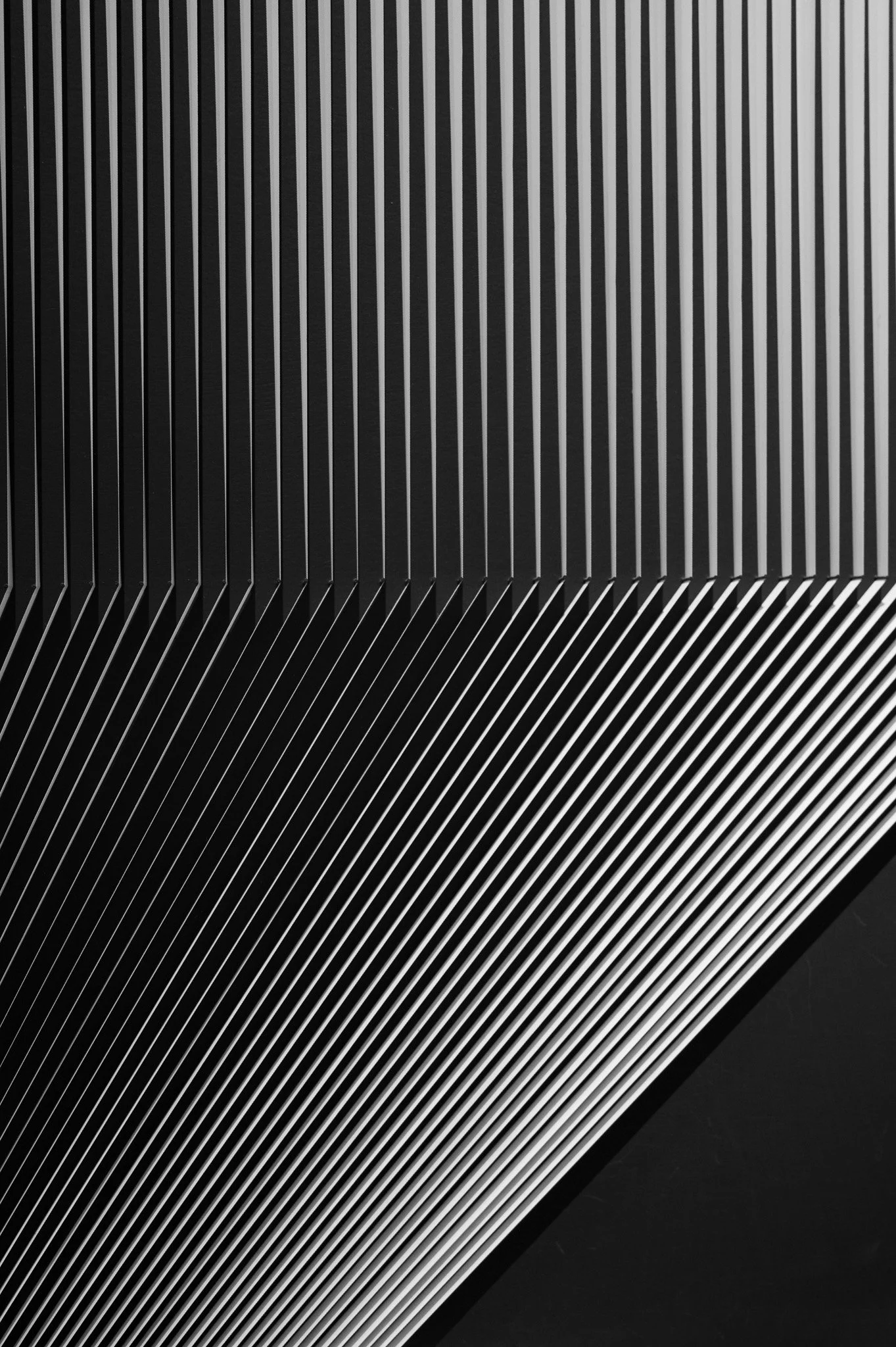 L1000823.jpg