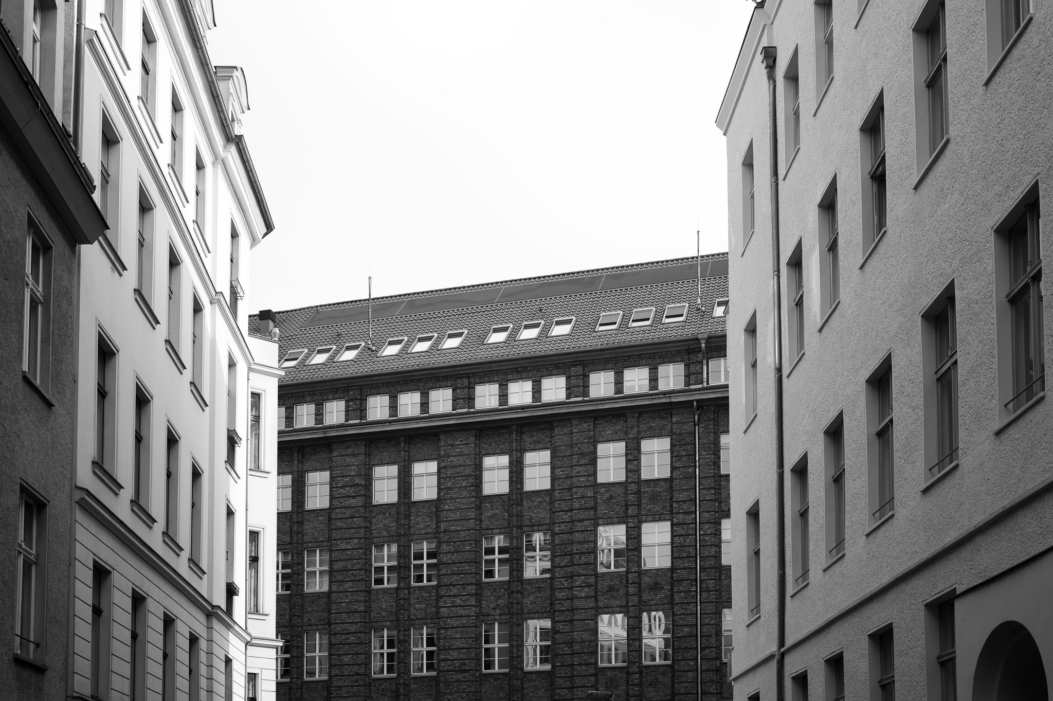 L1010931.jpg