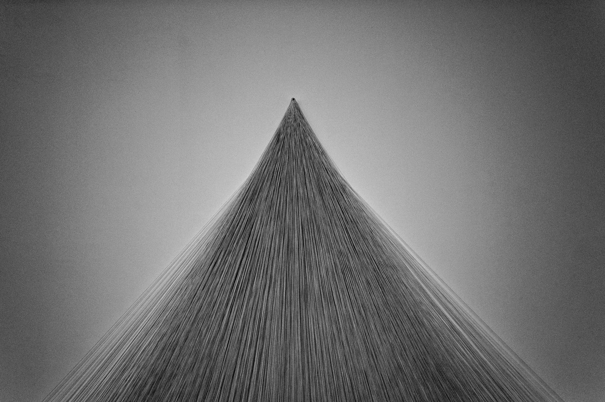 L1010979.jpg