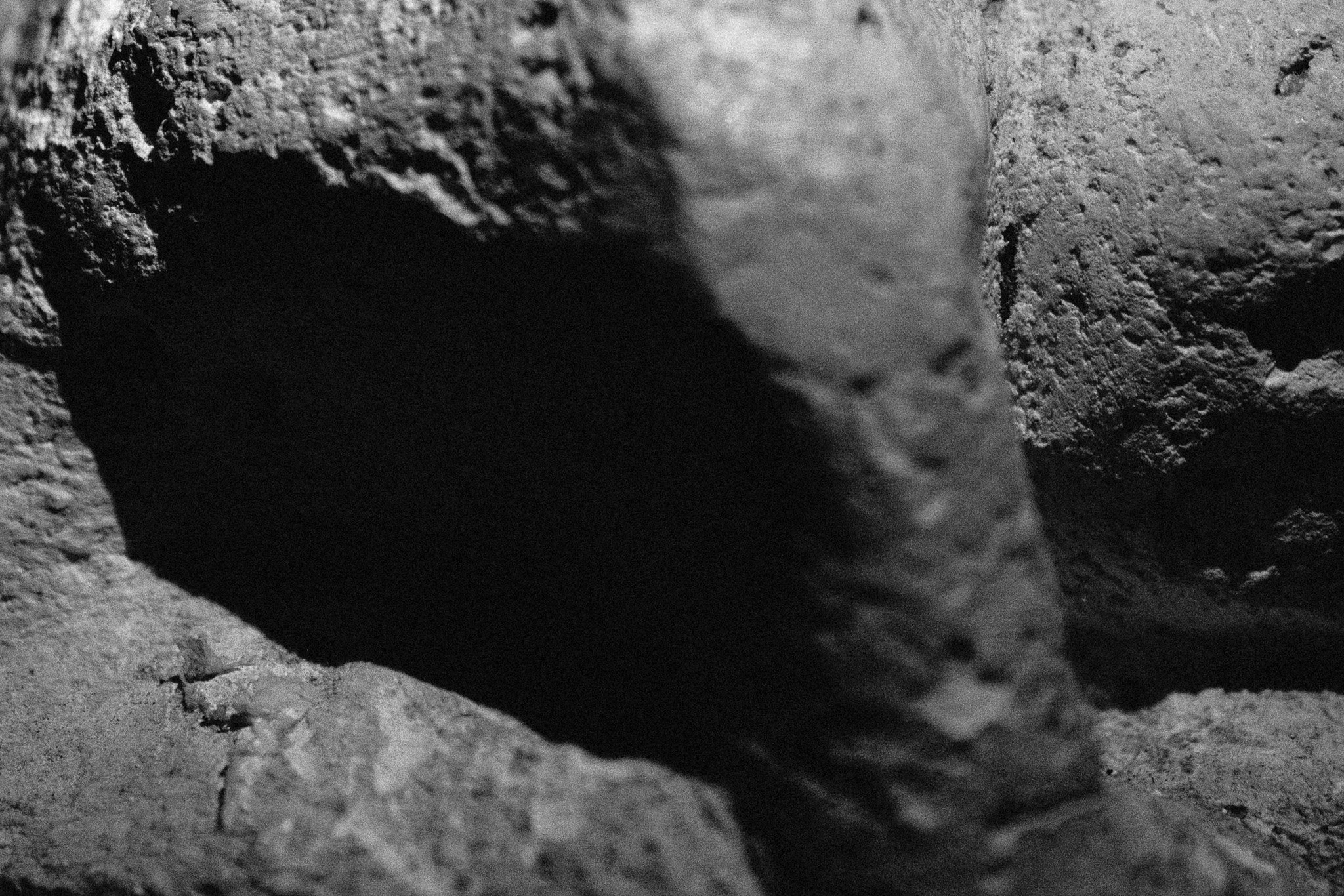 L1011207.jpg