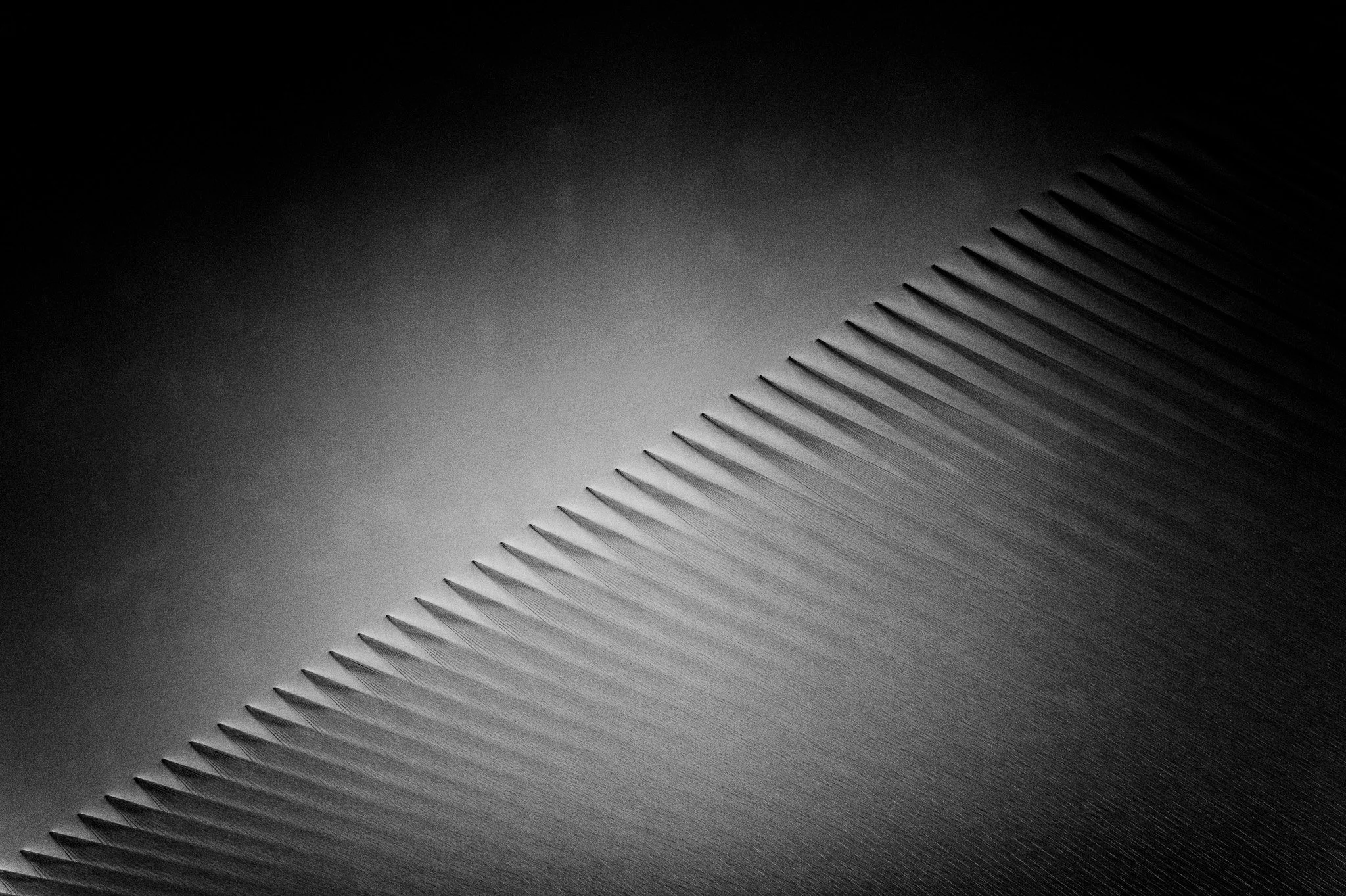 L1010984.jpg