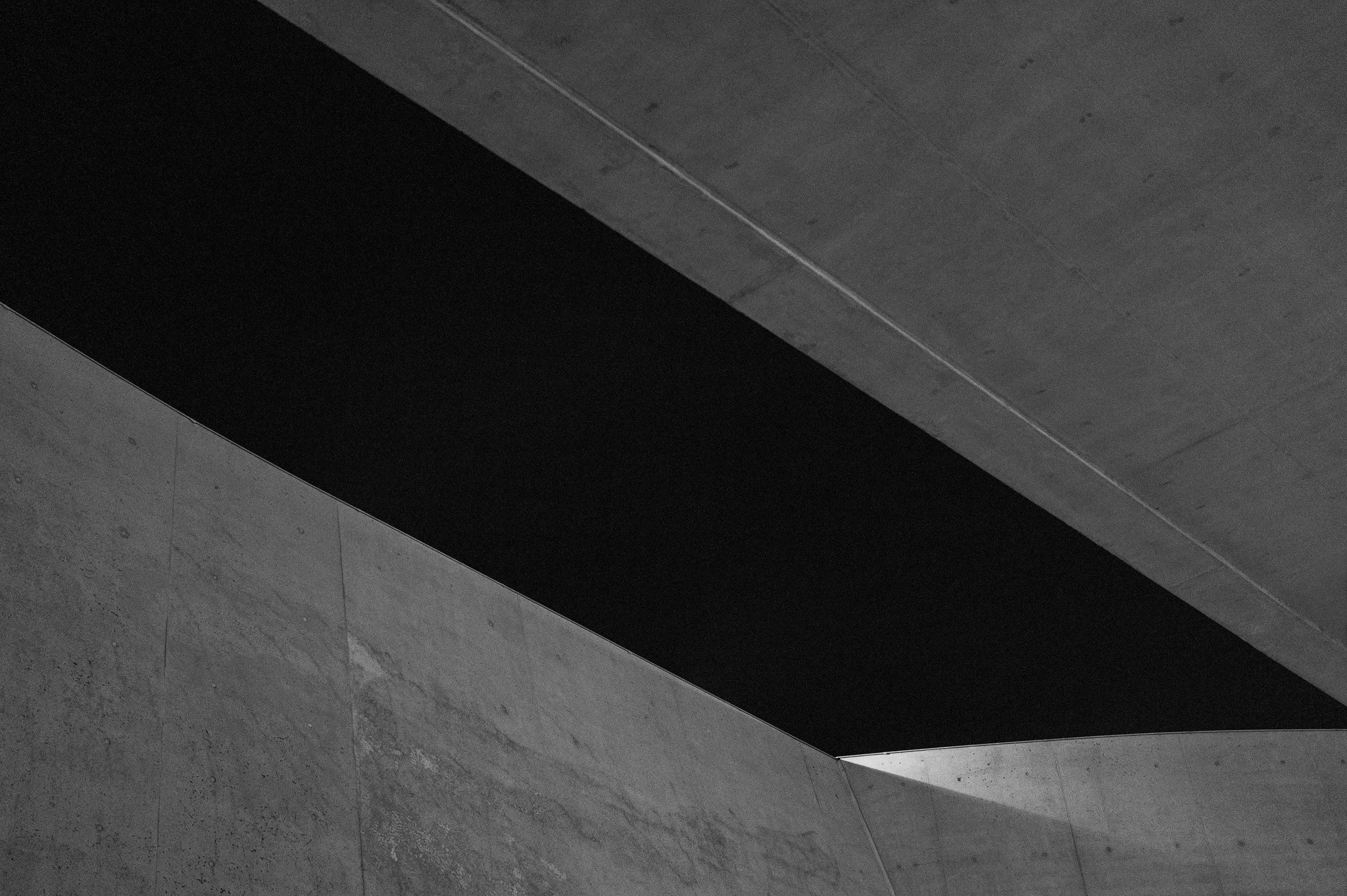 L1000998.jpg
