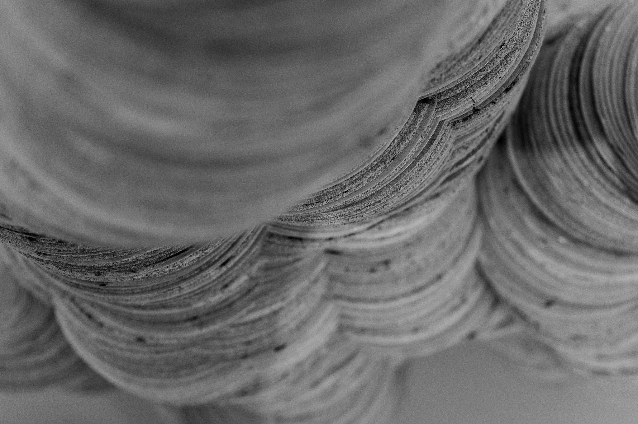 L1000983.jpg