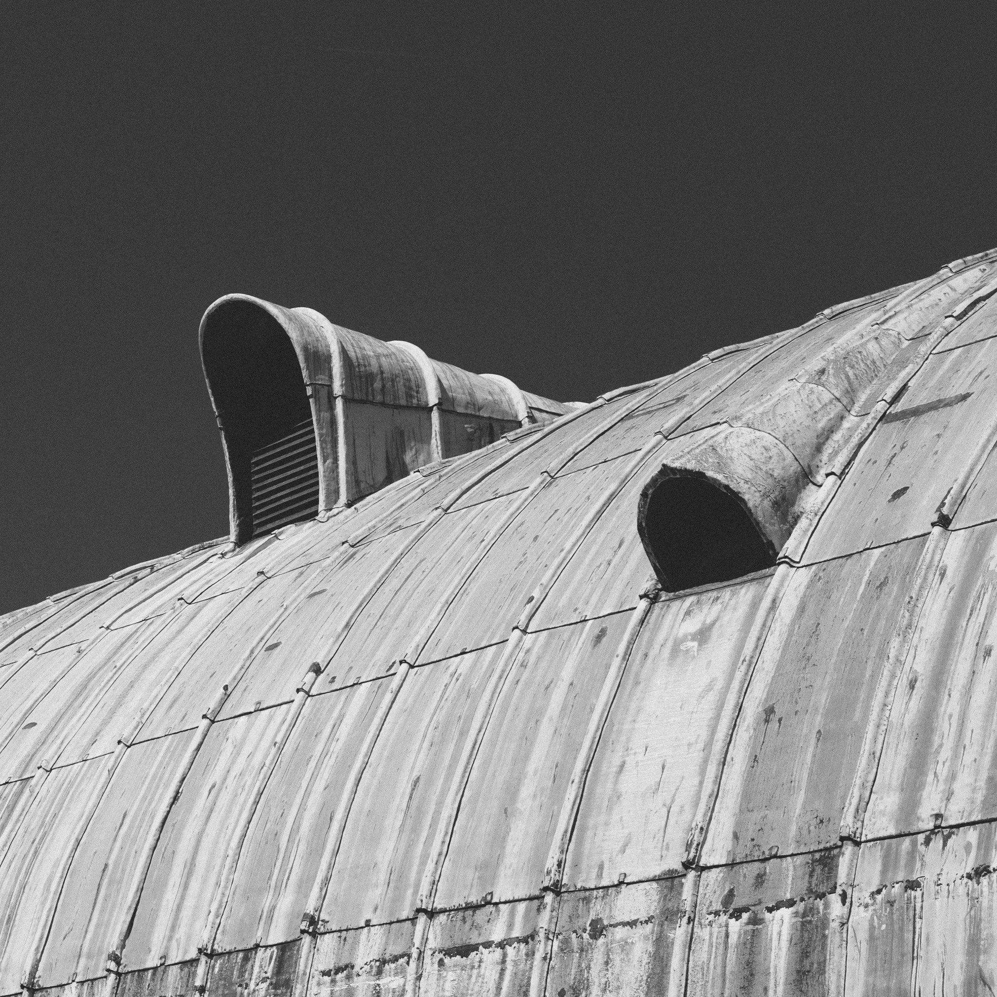 L1011761.jpg