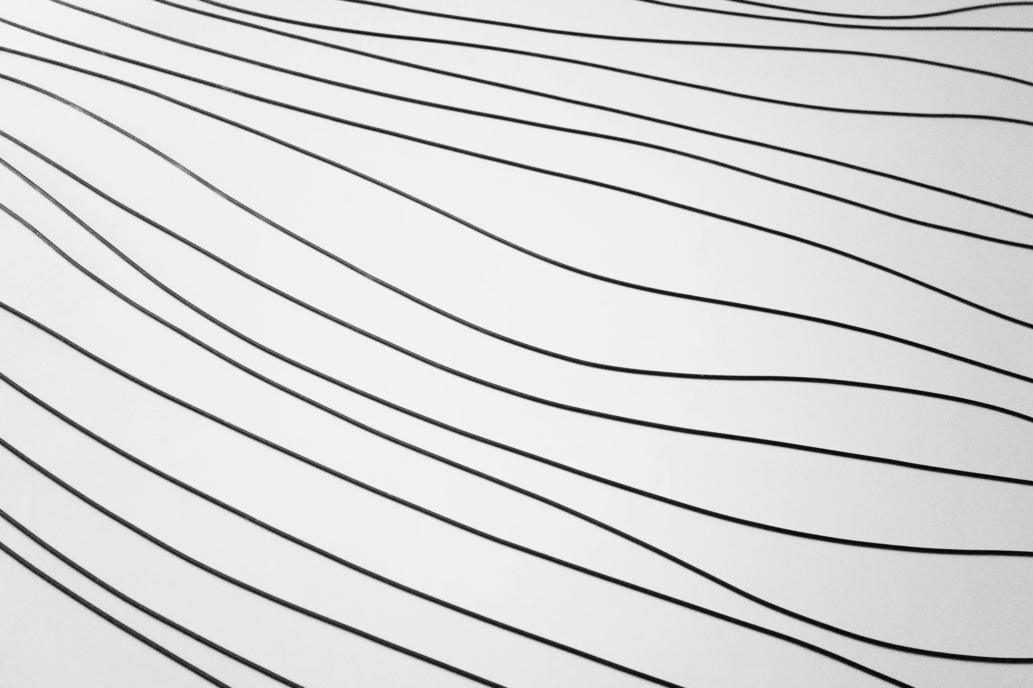 L1000971.jpg