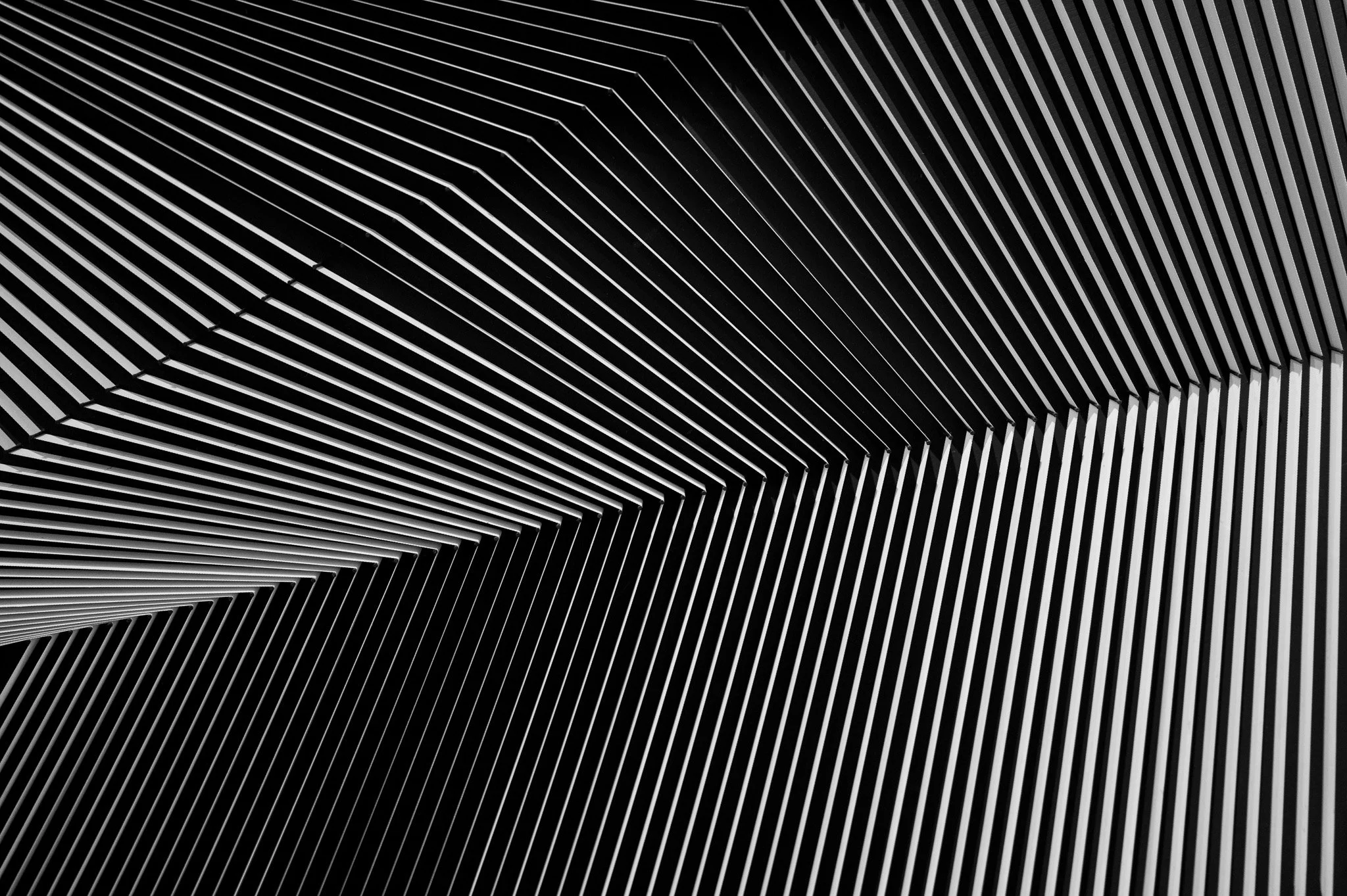 L1000824.jpg