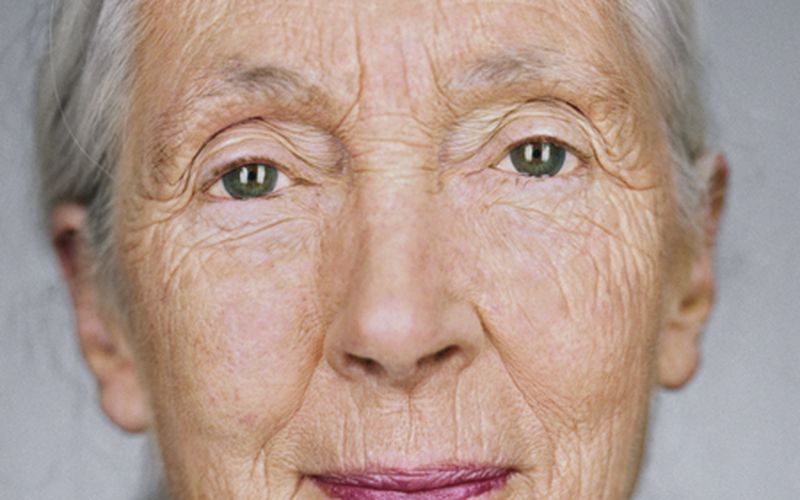 Jane Goodall