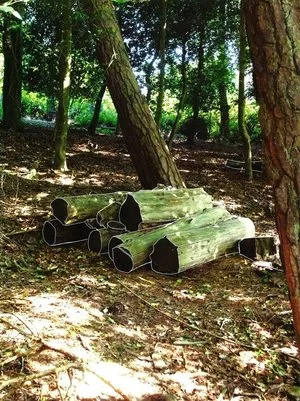 397777_orig.jpg