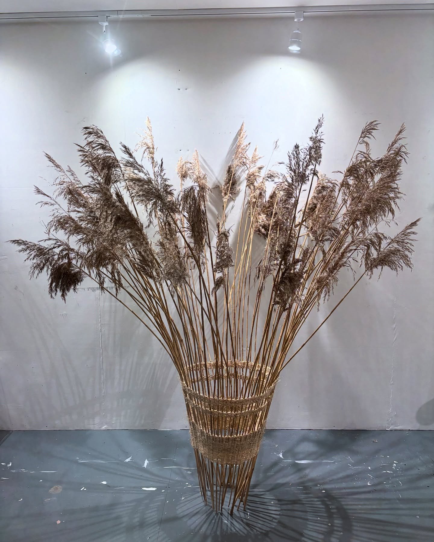 Twining &bull; This is the largest thing I&rsquo;ve made in a while! It&rsquo;s (just about) freestanding and has taken me several weeks to complete. Just need somewhere to store all these things now&hellip; Reeds found/harvested, twine bought &bull;