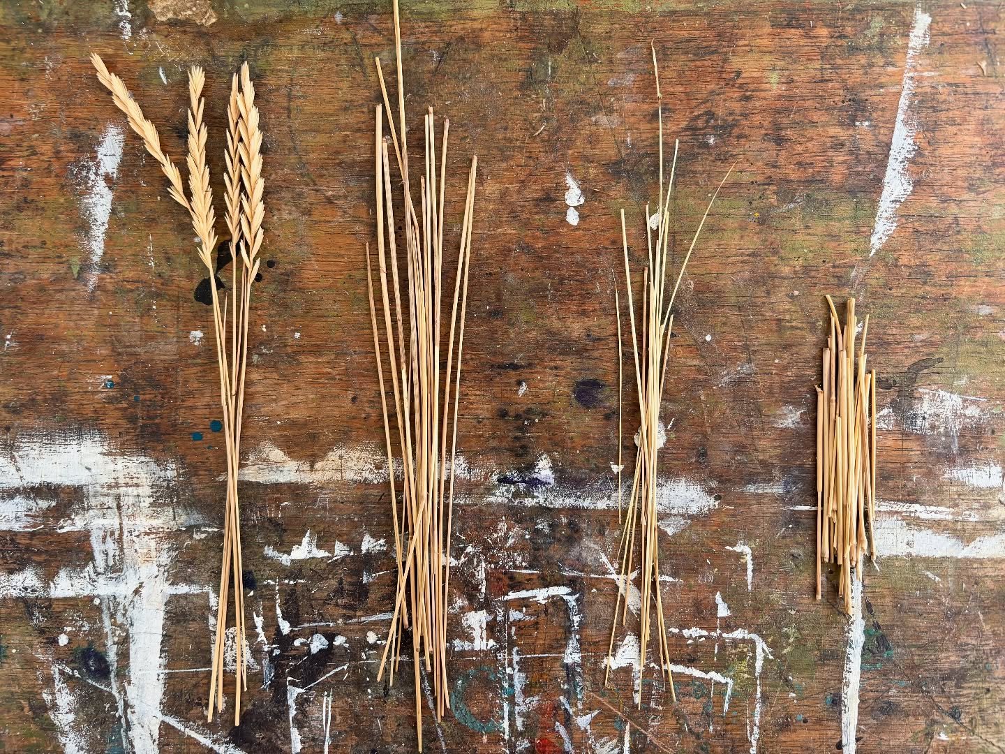 Just when I think I have used as much as I can from my little grass pile, more seem to make themselves useful &bull; #weaving #twining #grass #estuary #landscape #nature #art #studio #naturalmaterials #place #inbetween