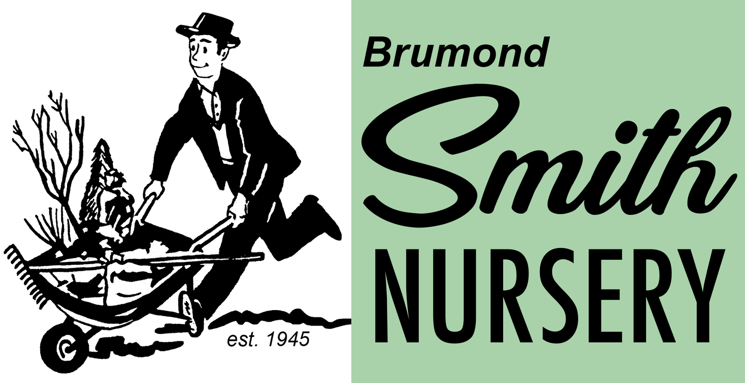 Brumond Smith Nursery
