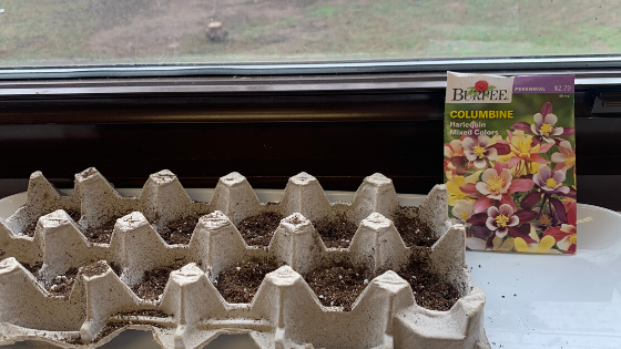 Planting the Seed of the Pascal Mystery in the Heart of the Young Child ...