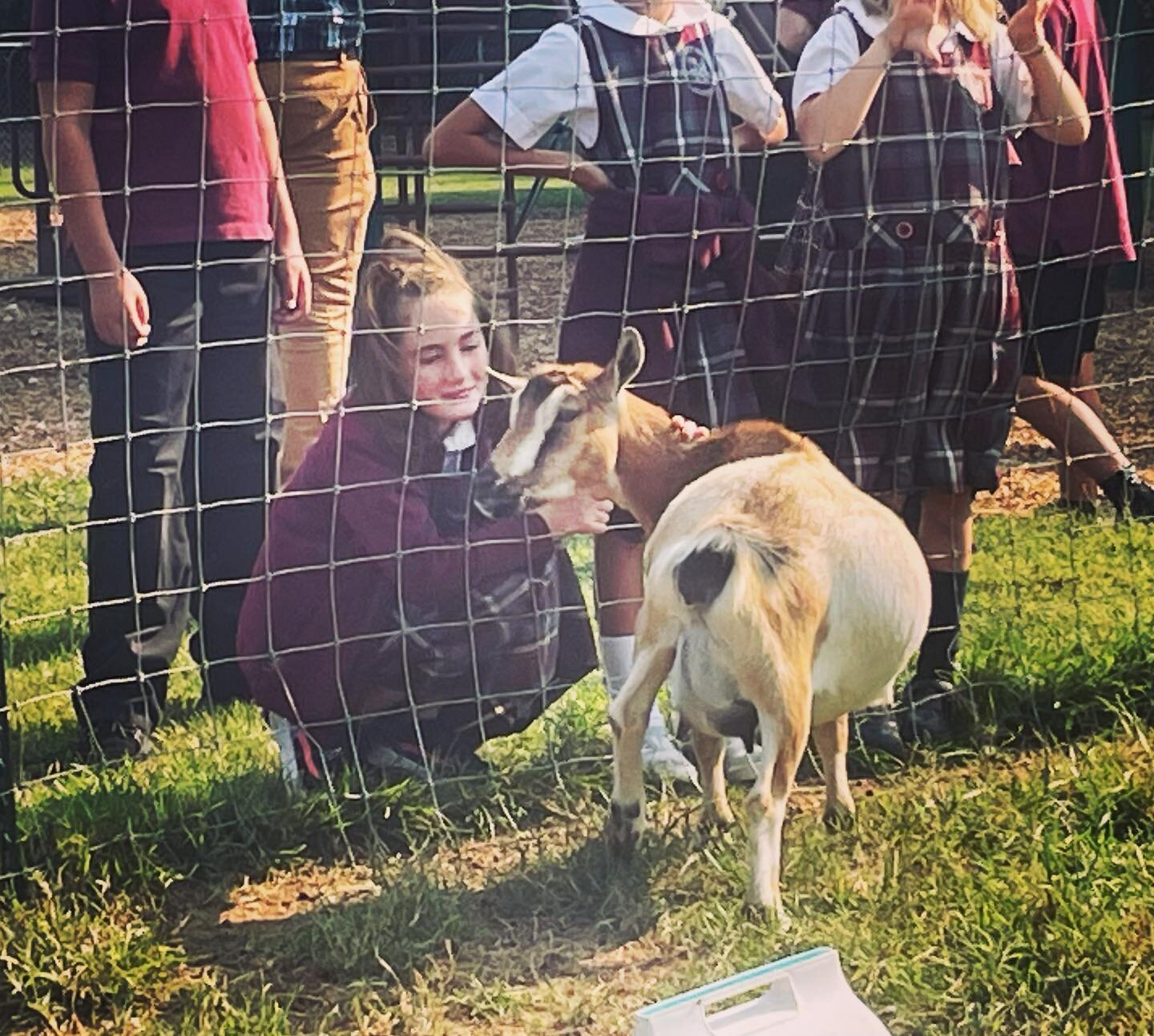 Last week our vet came out to check on our goats and speak to our Elementary students, who had a chance to ask questions and see what a goat sonogram looks like! The great news? Dulce is pregnant!  #renaissancemontessorischool #catholicmontessori #rm