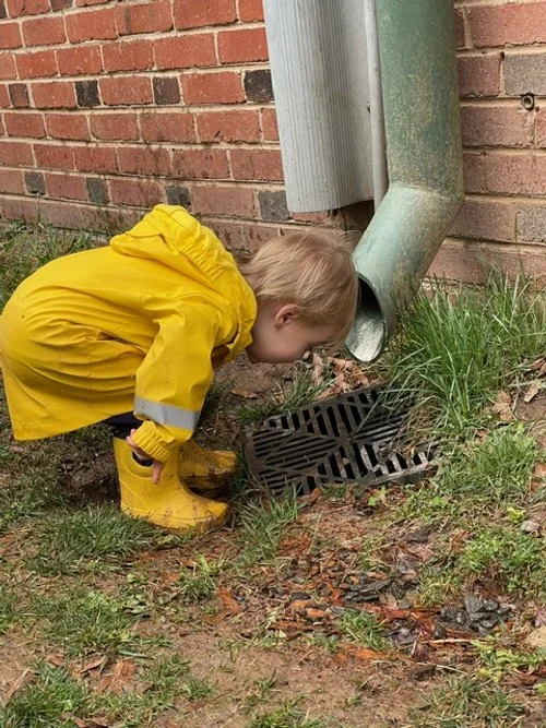 Springtime in the Young Children's House