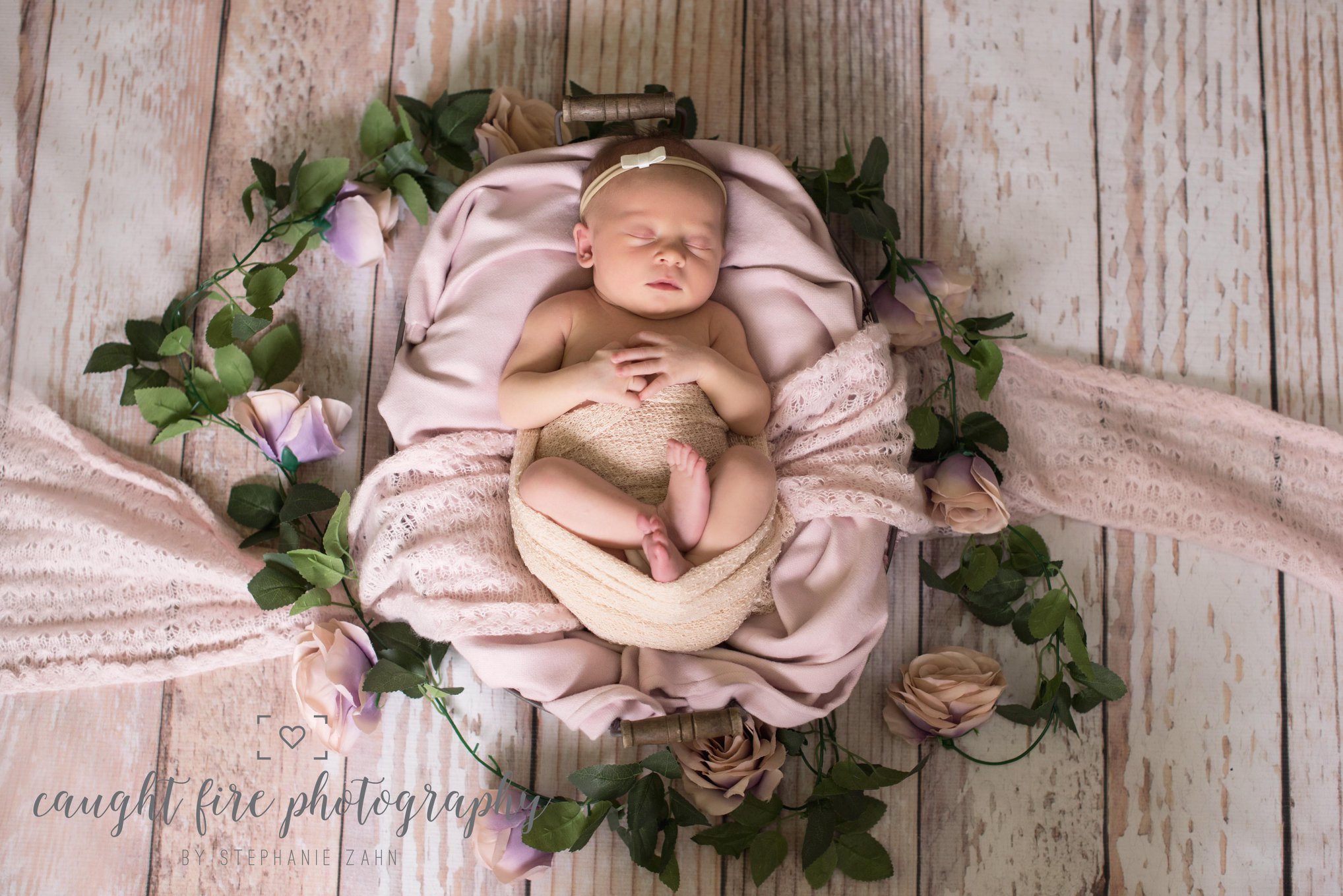 Newborn Portrait 1.jpg