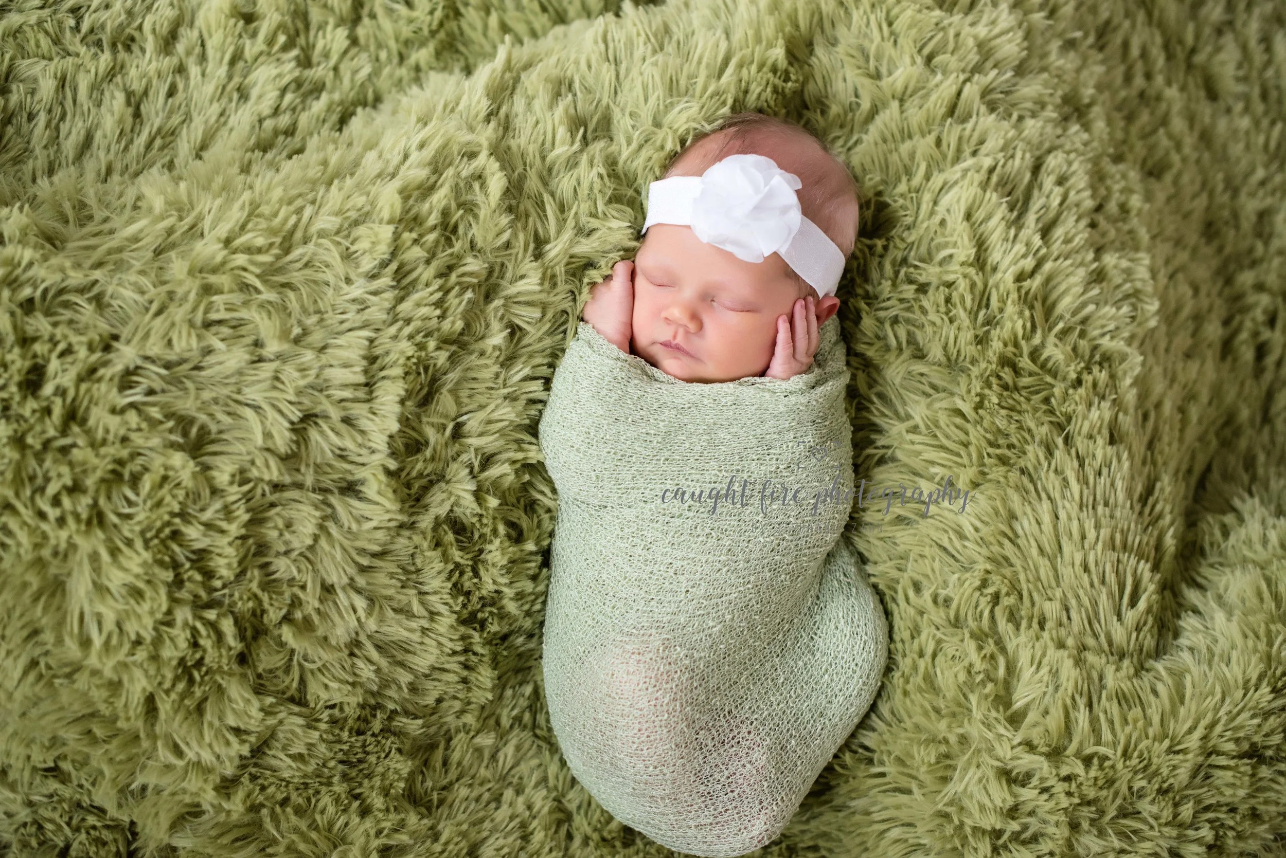 DSC_4666.jpg