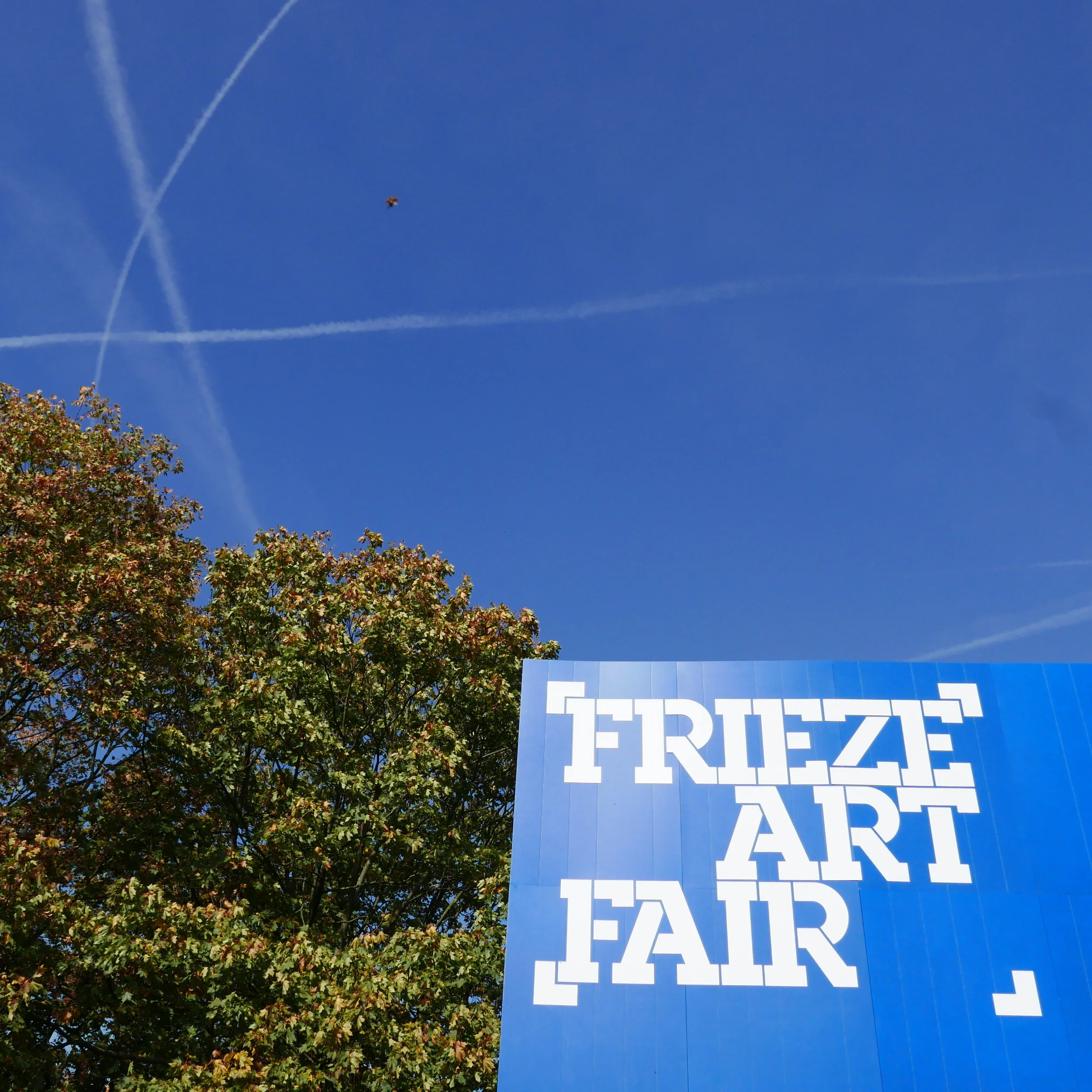 An Autumn's trip to Frieze