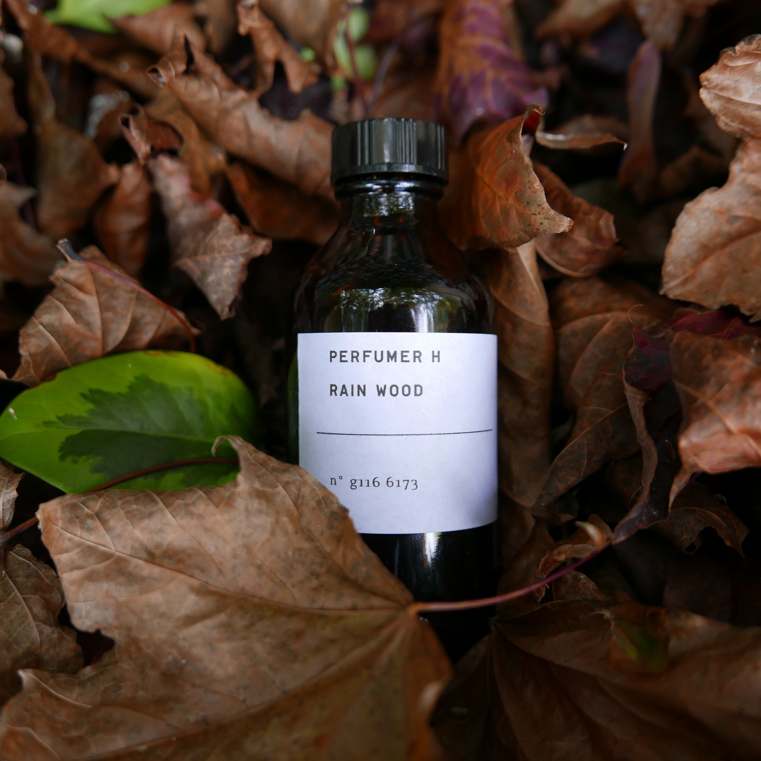 Perfumer H Rain Wood — Purposeful Activity