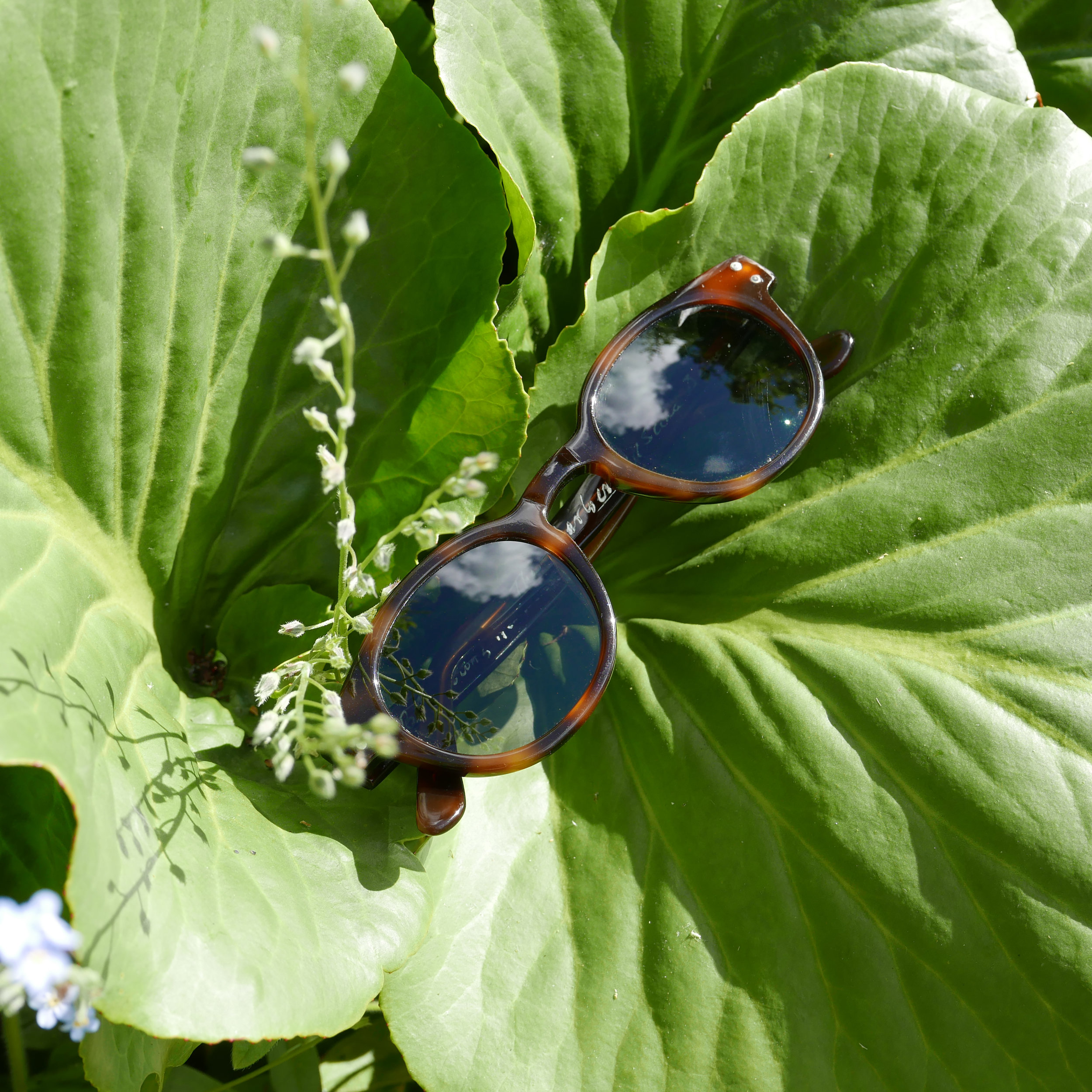 E.B Meyrowitz Berber