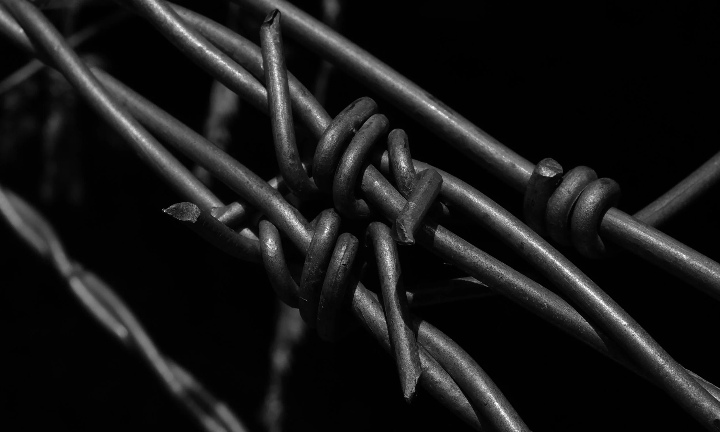  Purposeful Activity   Welcome, Back    Read More  