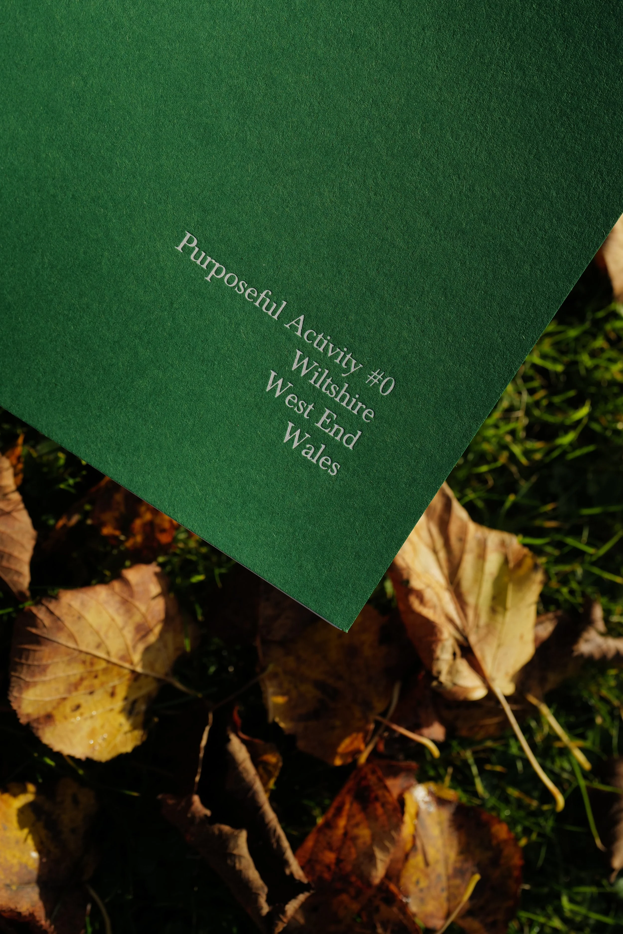 Purposeful Activity #0