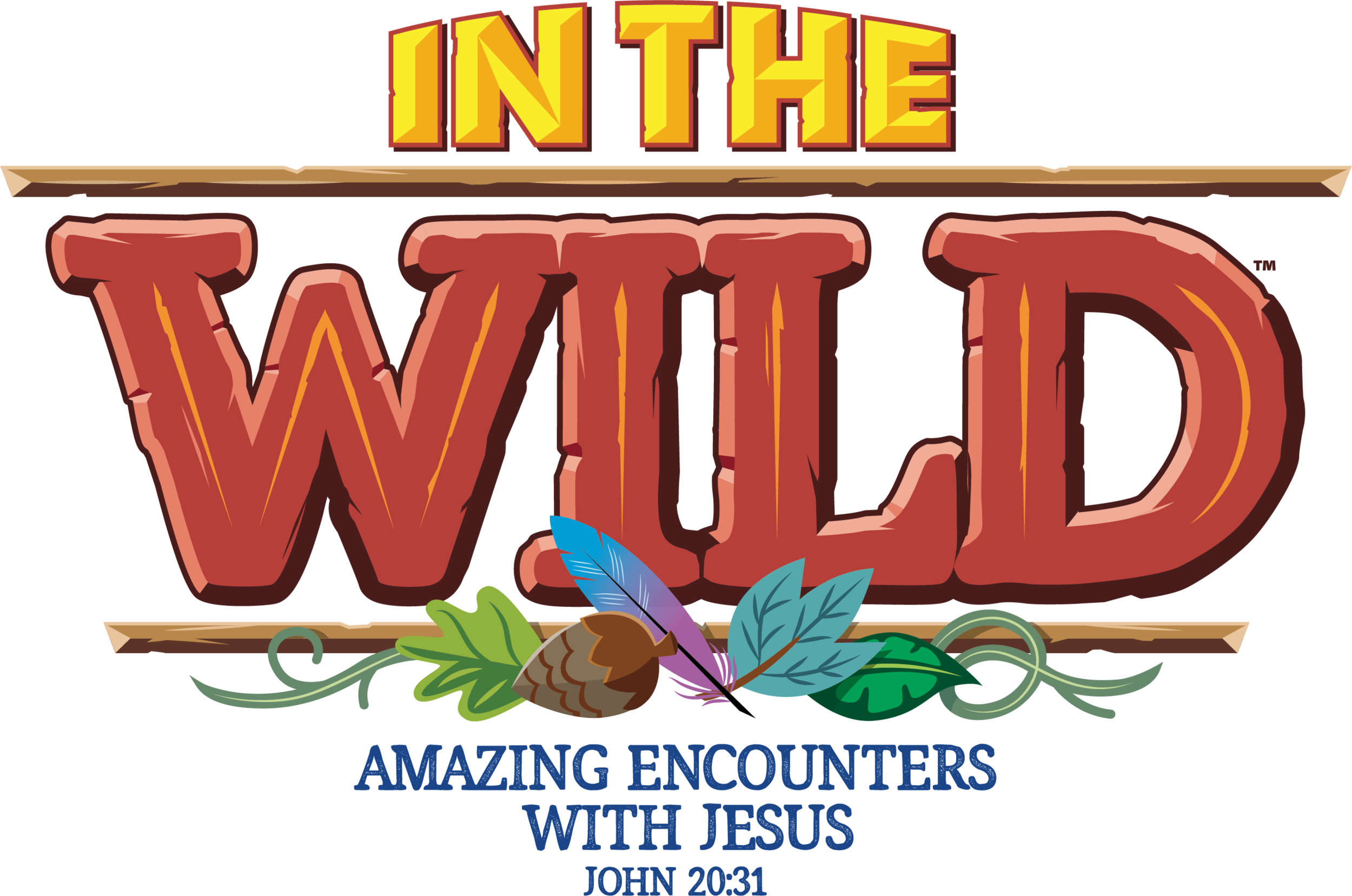 In The Wild VBS