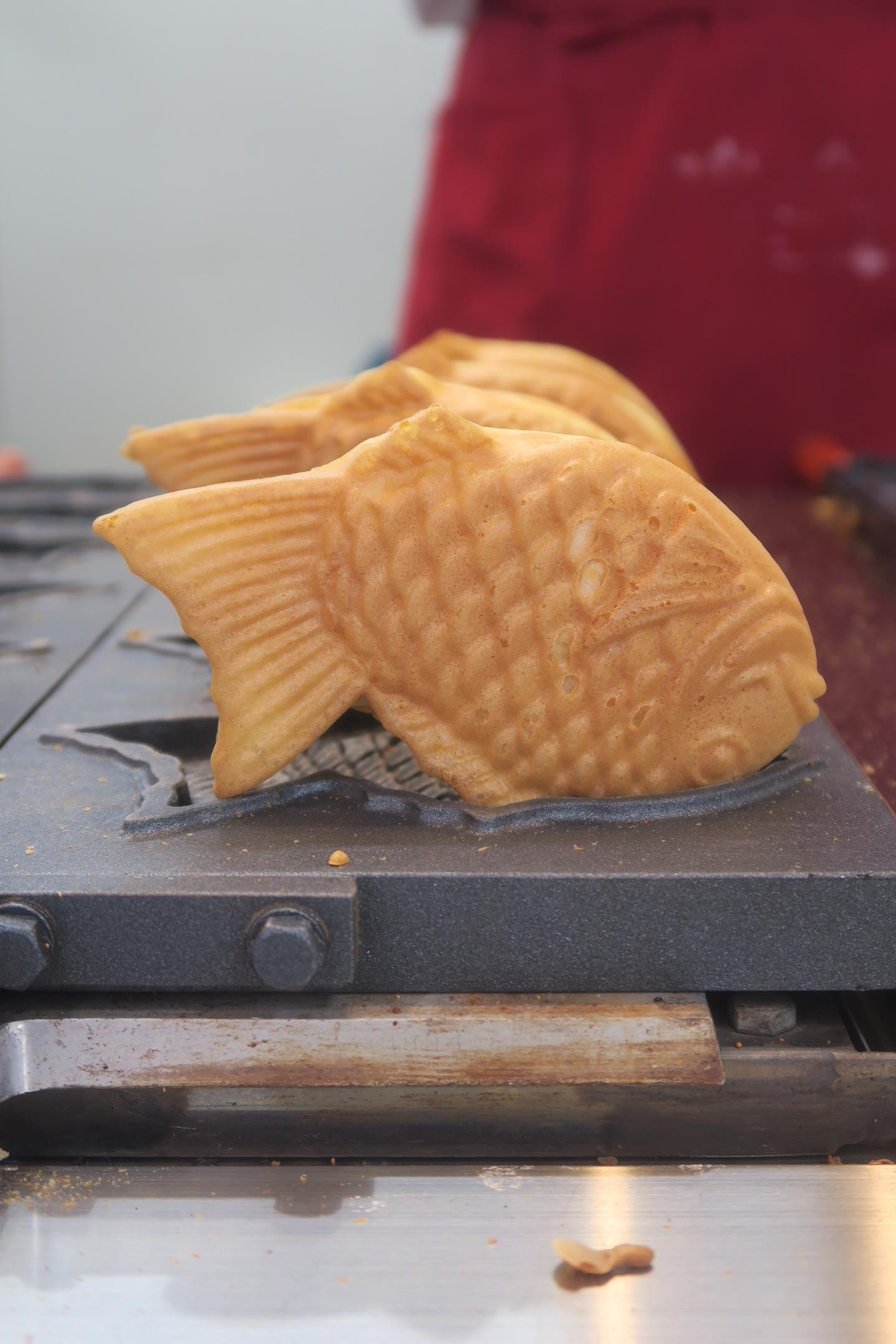fish.png