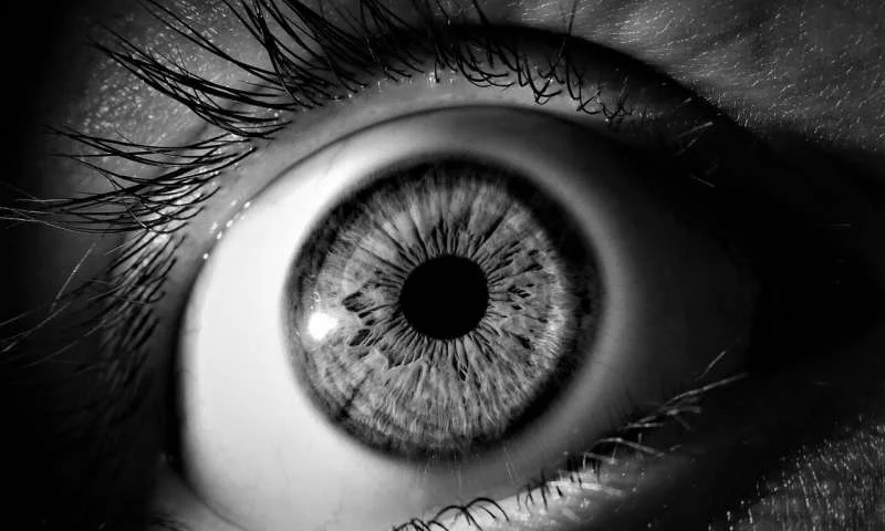 4-eye.jpg