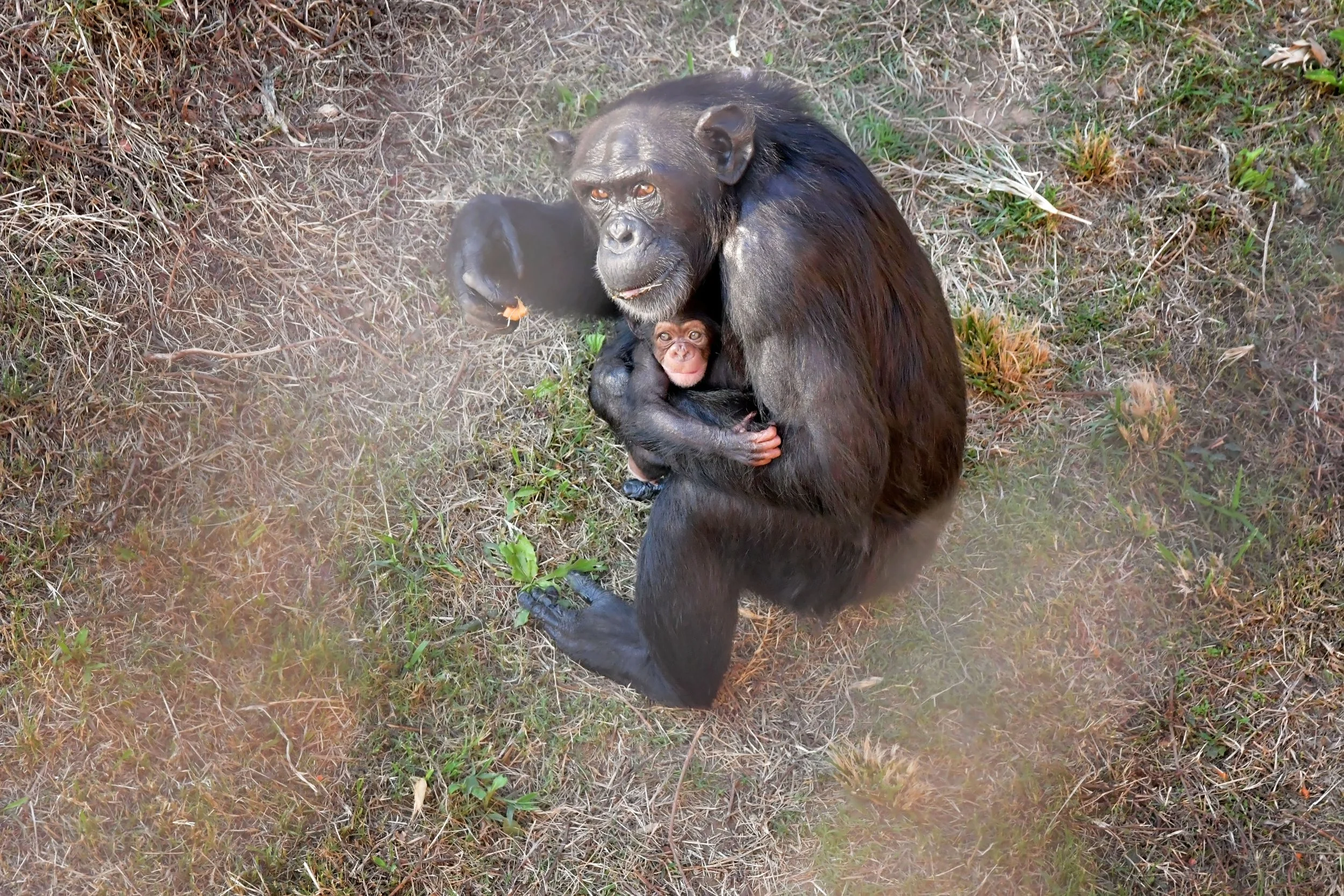 DSC_5945.jpg
