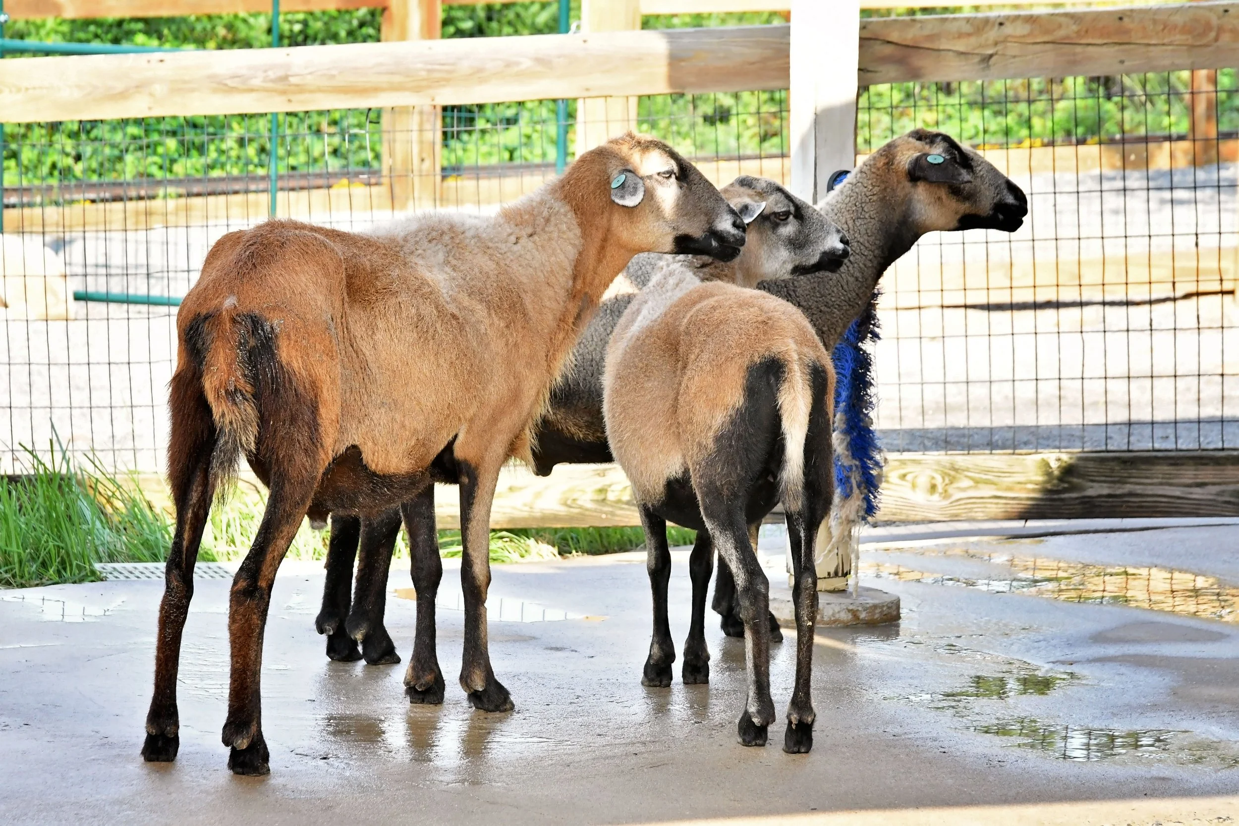 DSC_8676.jpg