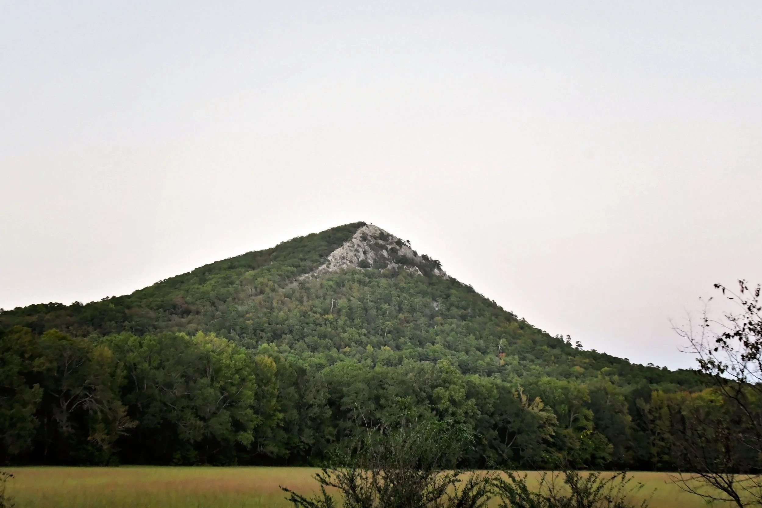 DSC_0170.jpg
