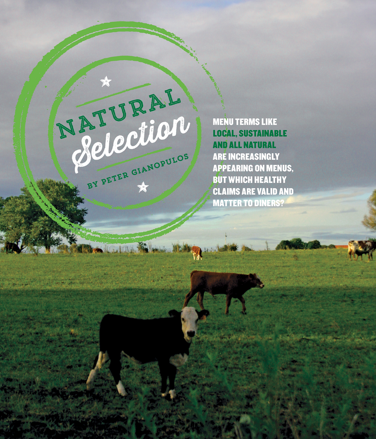 NaturalSelection_Page_Front.png