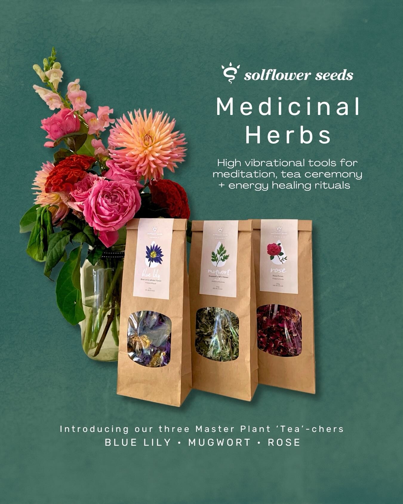 Exciting news 🥳 My organic herbs range is finally here!

Introducing the Three Master Plant Tea-chers I serve in my Tea Ceremonies

Get it? &lsquo;Tea&rsquo; 🍵 Tea-chers 😉

You will also find these powerful plant allies infused into the cacao brew
