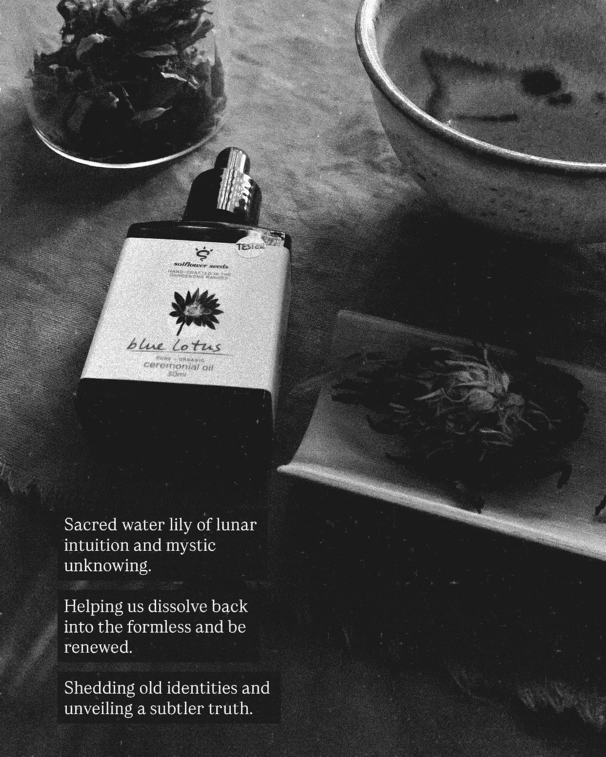 🌝 Last Full Moon Blue Lotus Tea Ceremony

Sacred water lily of the Nile
Bridger of the seen and unseen

Softening form into formless
Exhaling this mind density

Dissolving, dissolving, dissolving

Beyond all shapes, a ripple
Who am I
but a whisper o