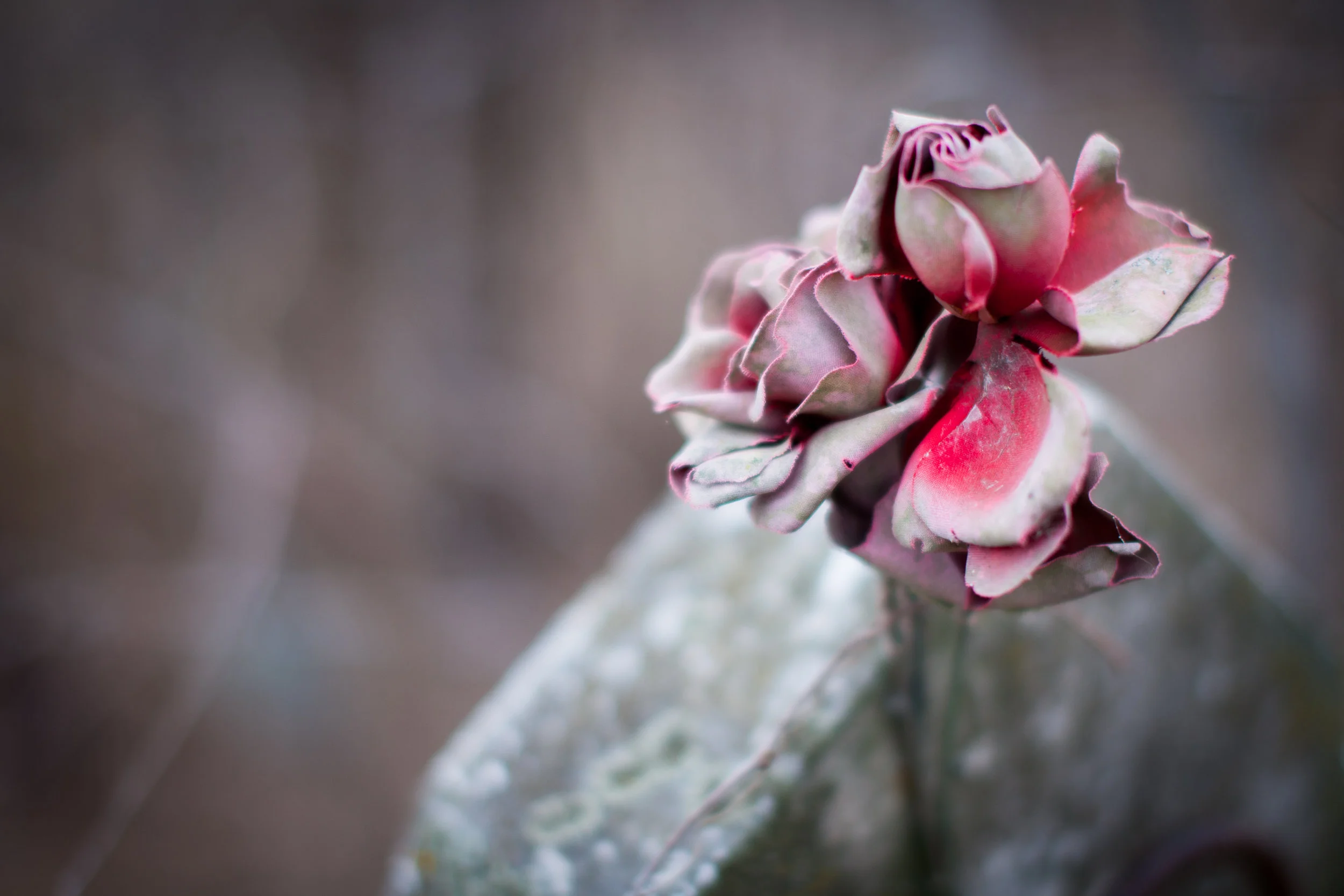 Davidson-Littlepage Cemetery Austin, Texas 2017