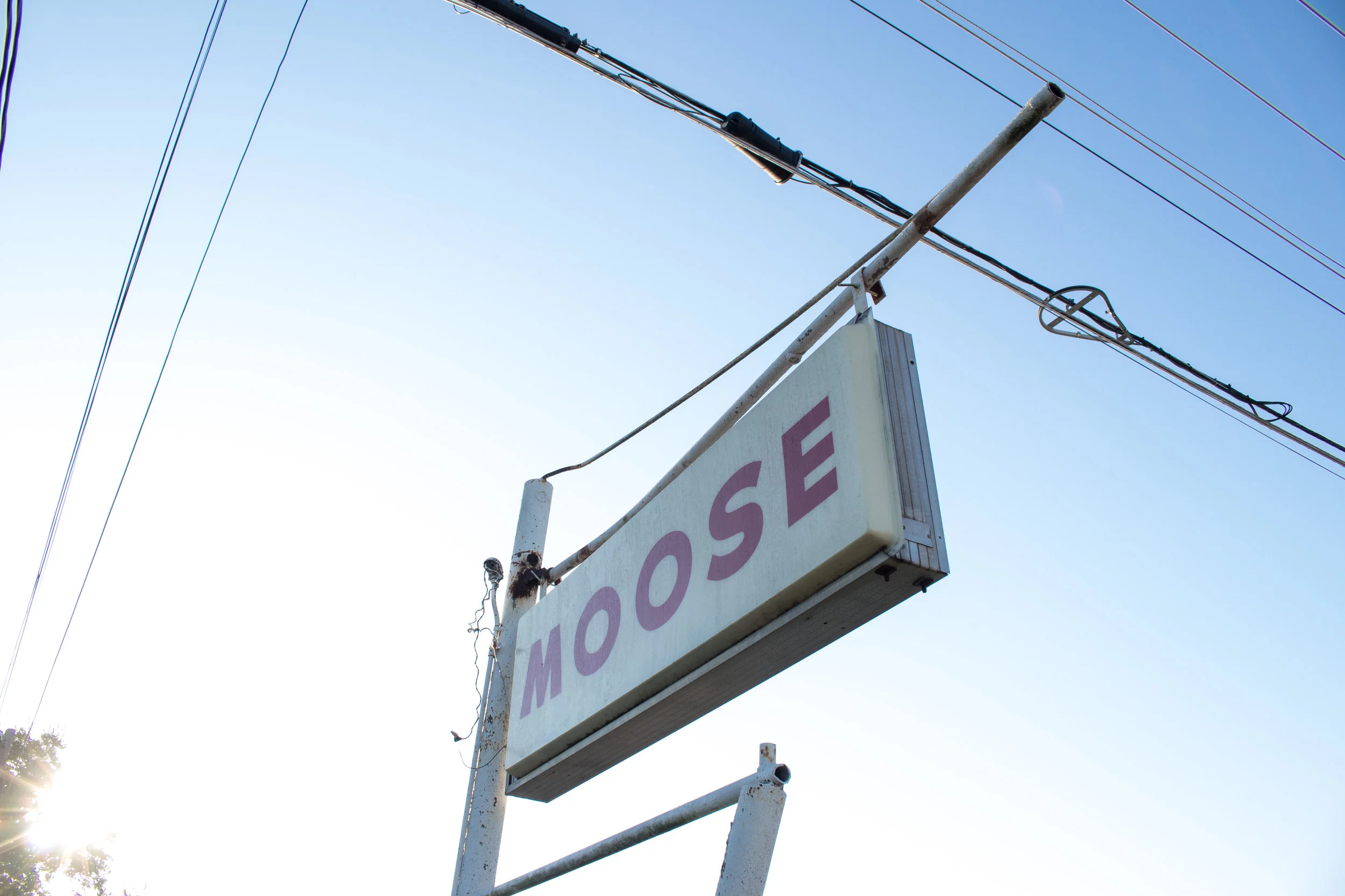 modernrelics (5 of 2).jpg