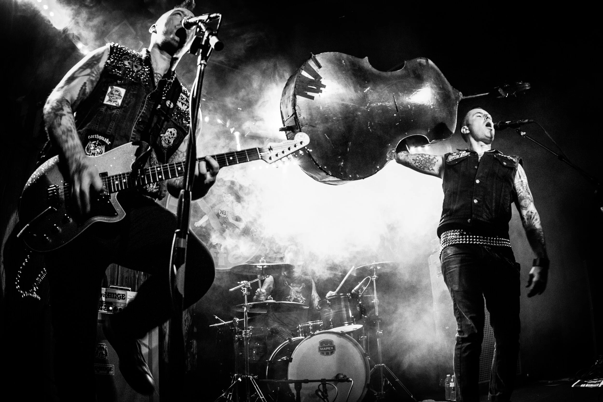 KoffinKats (4 of 23).jpg