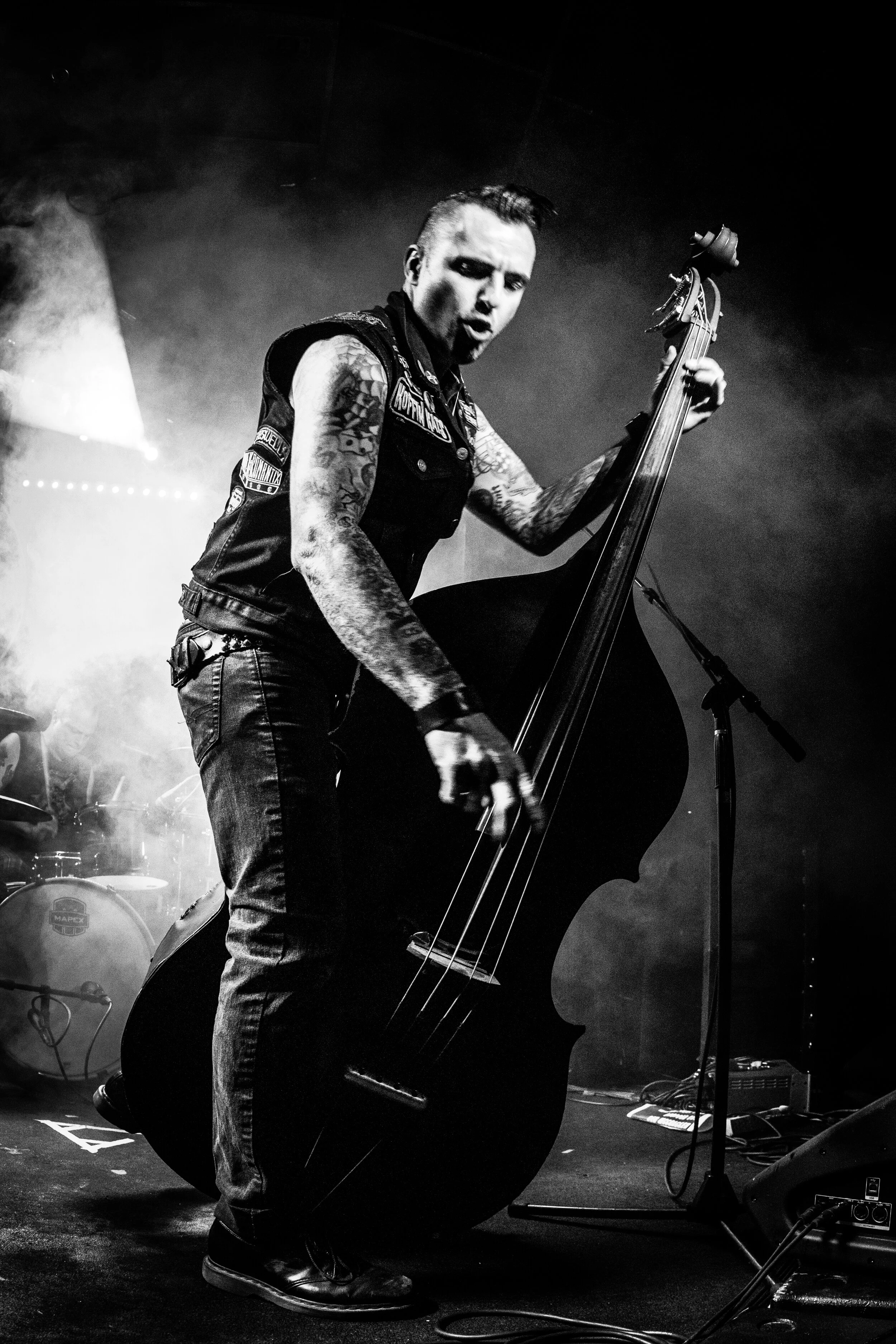 KoffinKats (2 of 23).jpg