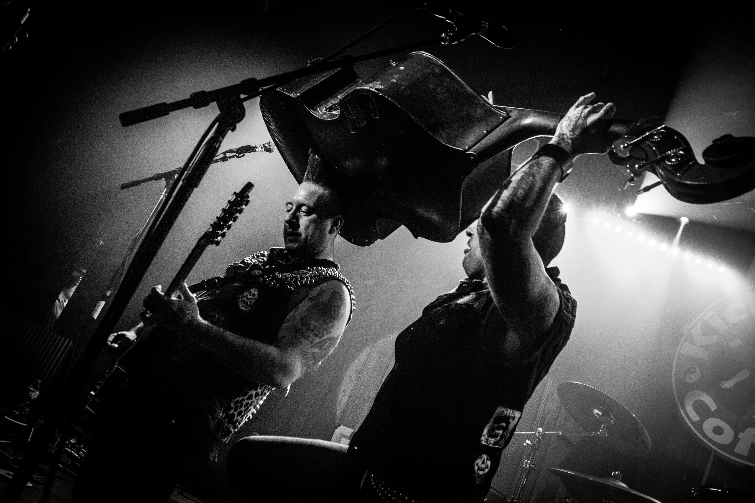 KoffinKats (8 of 23).jpg