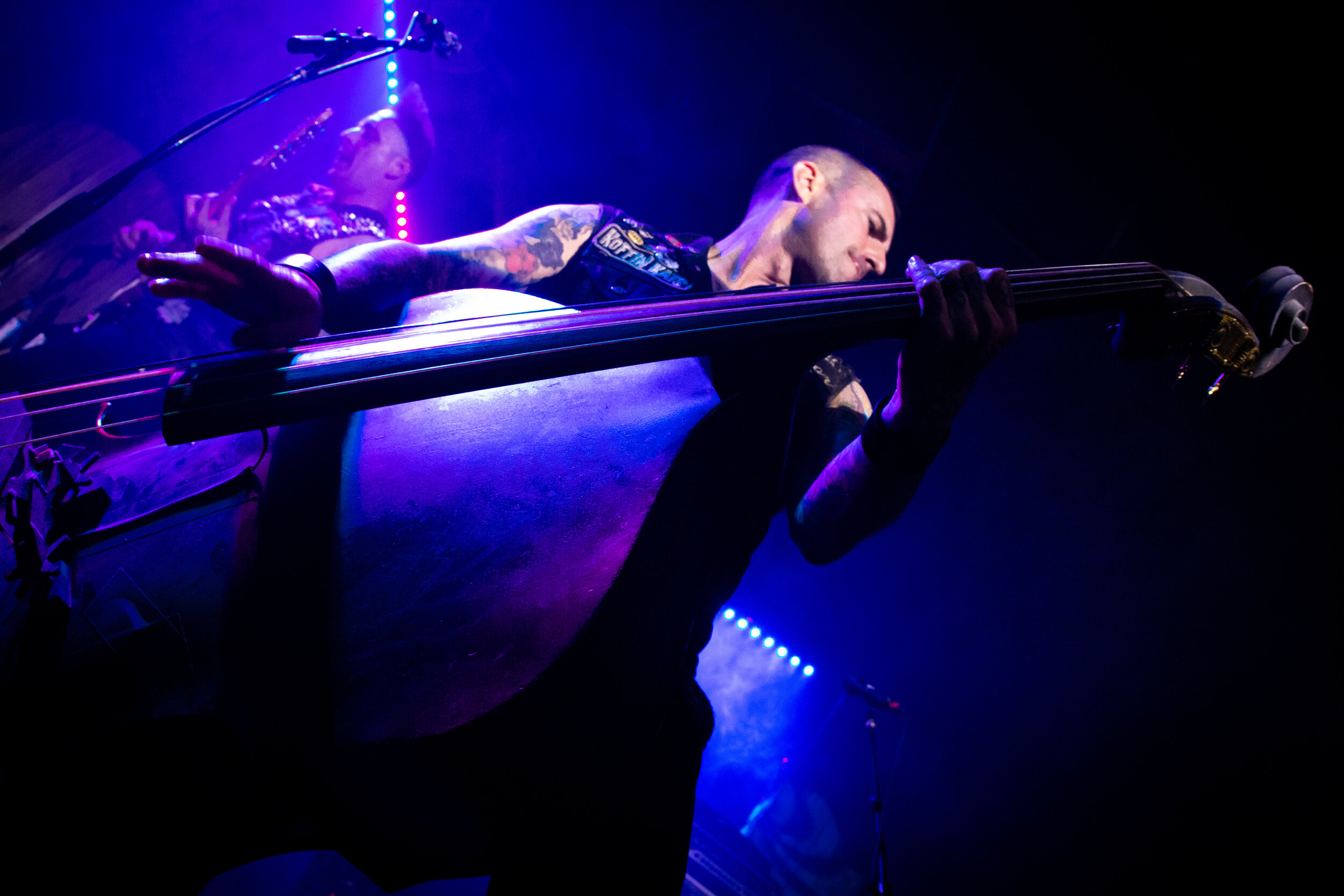 KoffinKats (11 of 23).jpg