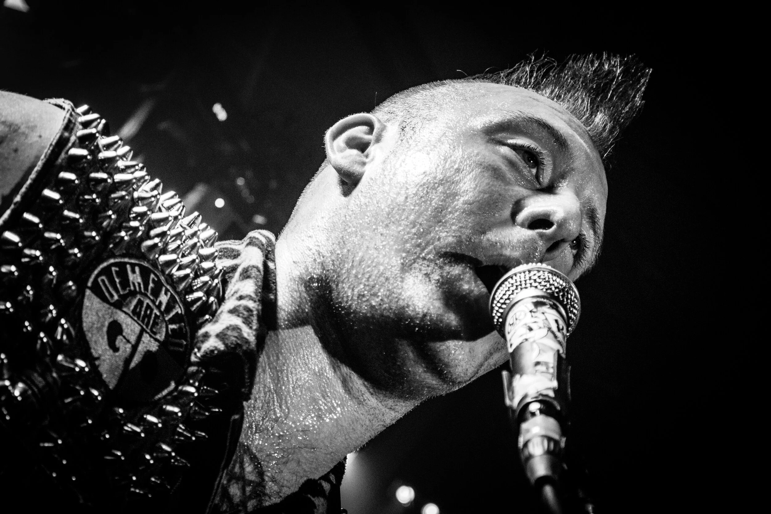 KoffinKats (16 of 23).jpg